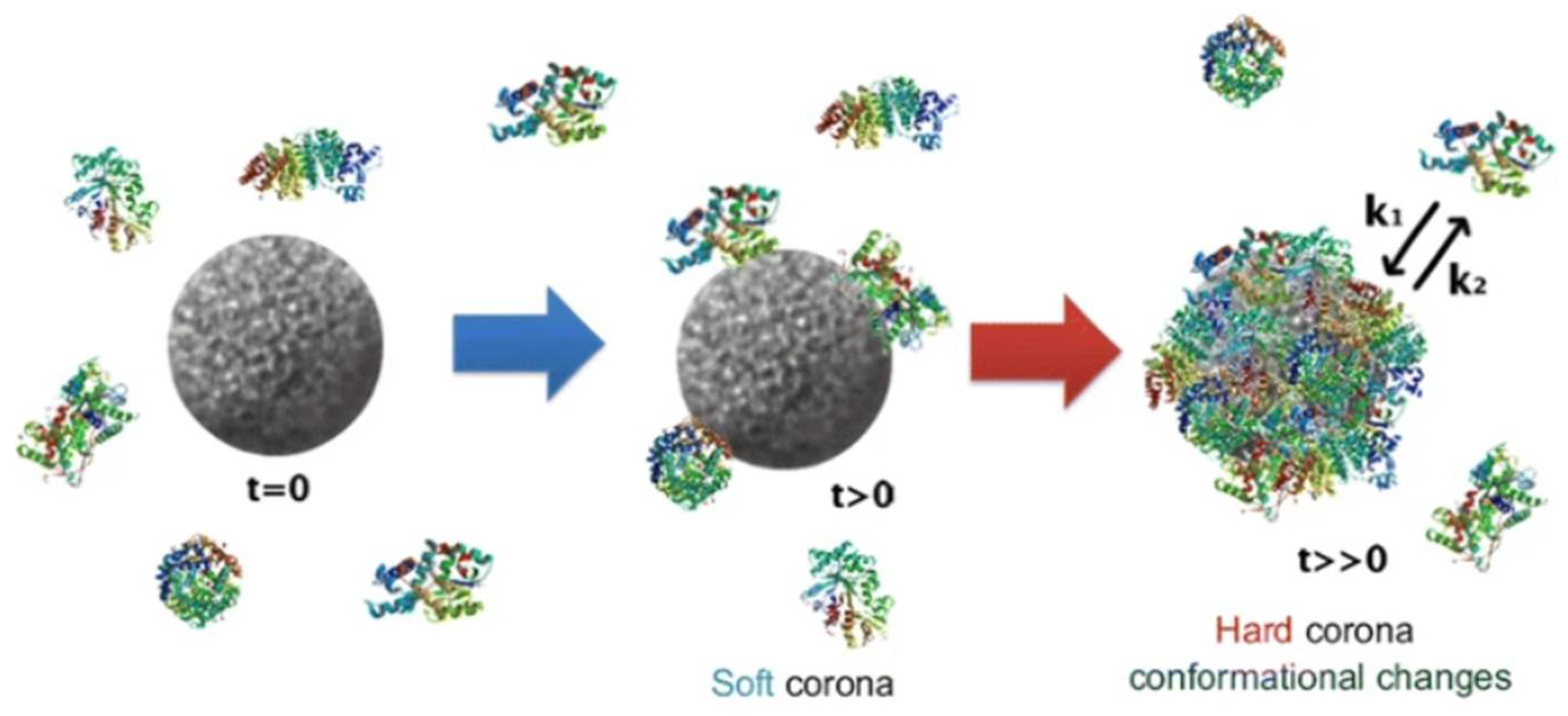 Inorganics 13 00341 g018