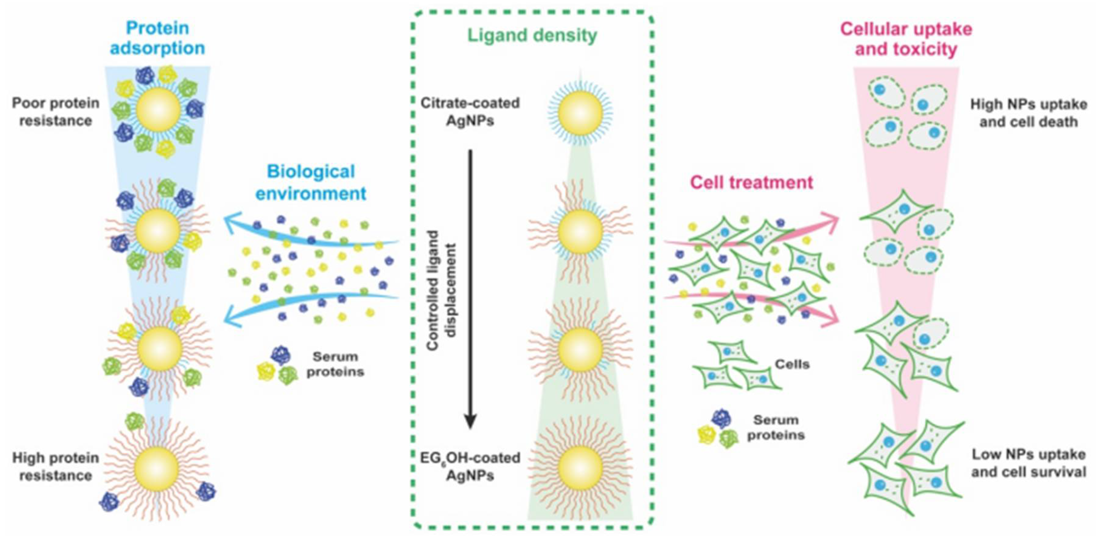 Inorganics 13 00341 g019