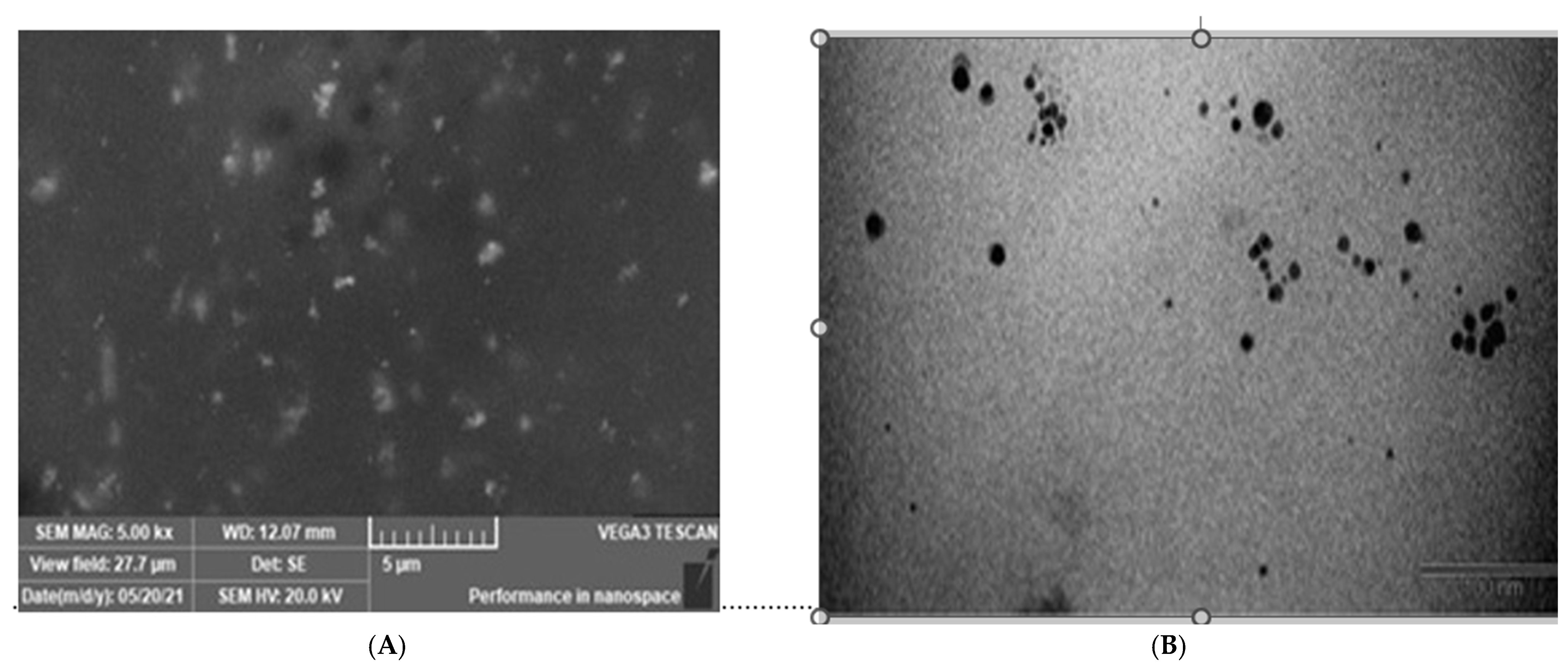 Inorganics 13 00342 g005