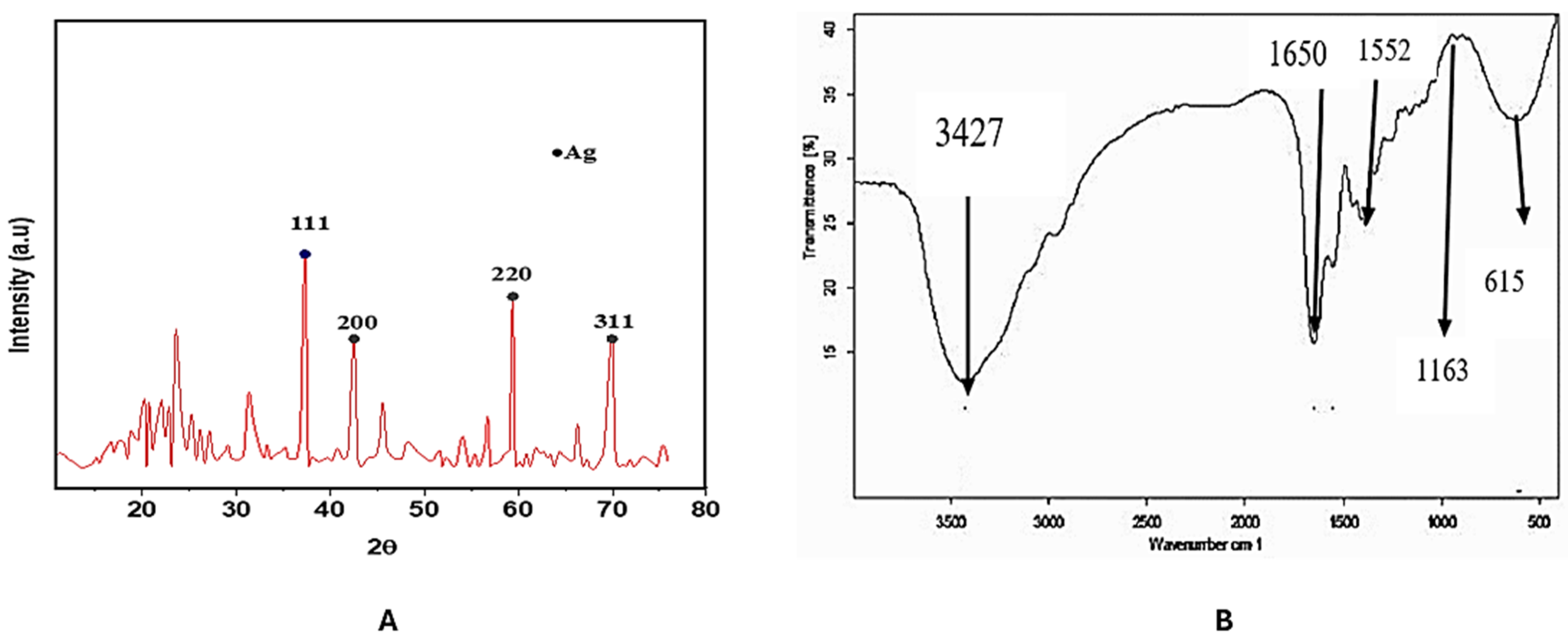 Inorganics 13 00342 g006