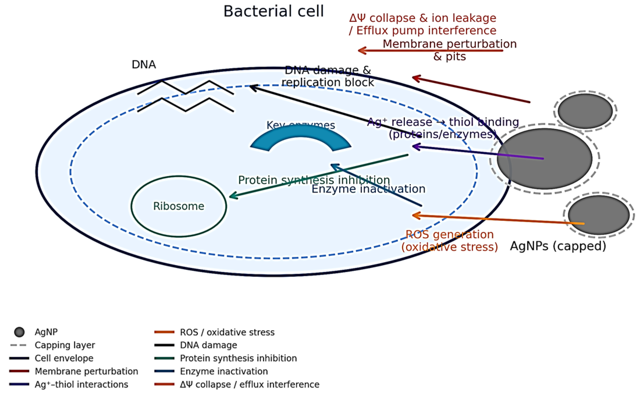 Inorganics 13 00342 g008