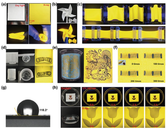 Synthesis, Photophysical Mechanisms, and Applications of