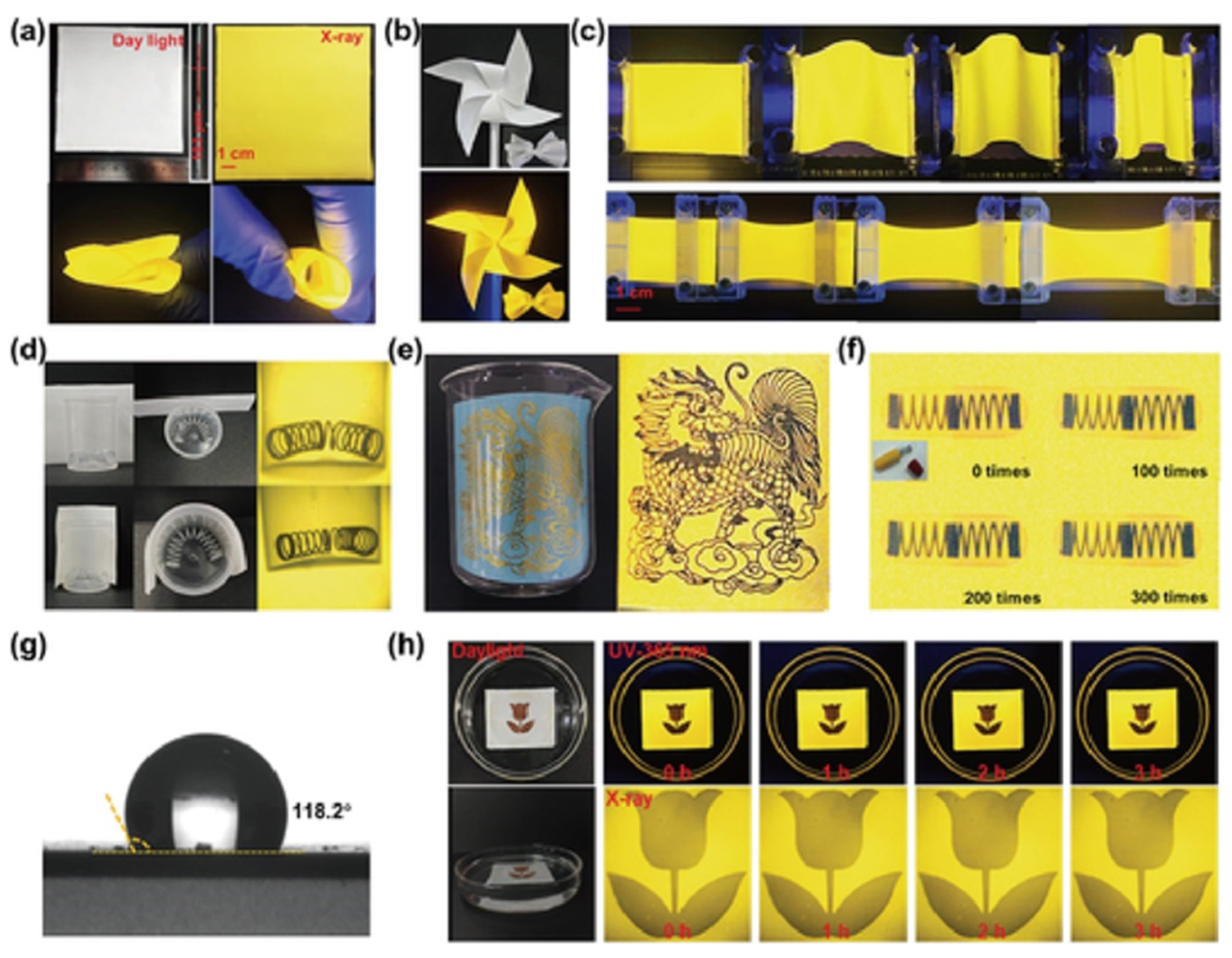 Inorganics 13 00347 g009 Inorganics 13 00347 g009