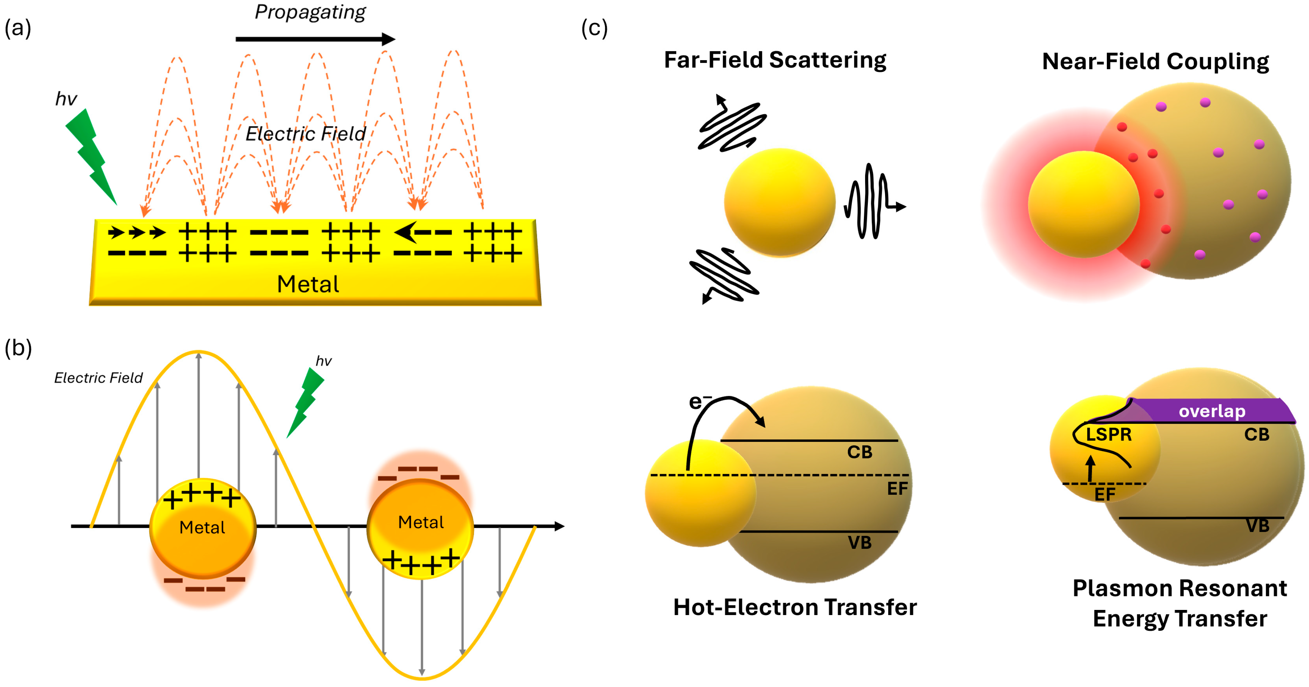 Inorganics 13 00351 g002 Inorganics 13 00351 g002