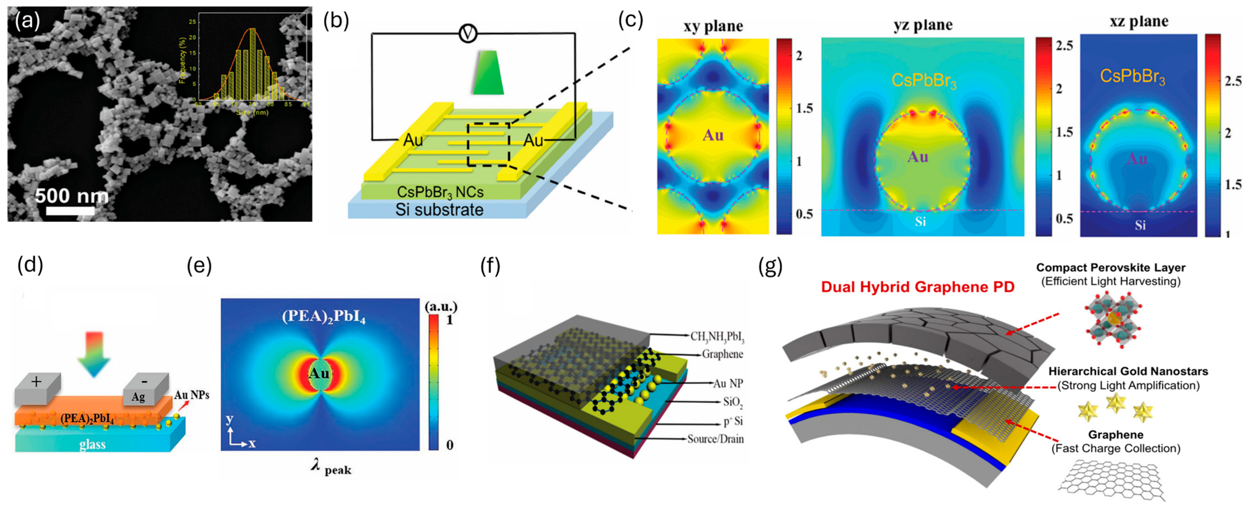 Inorganics 13 00351 g003 Inorganics 13 00351 g003