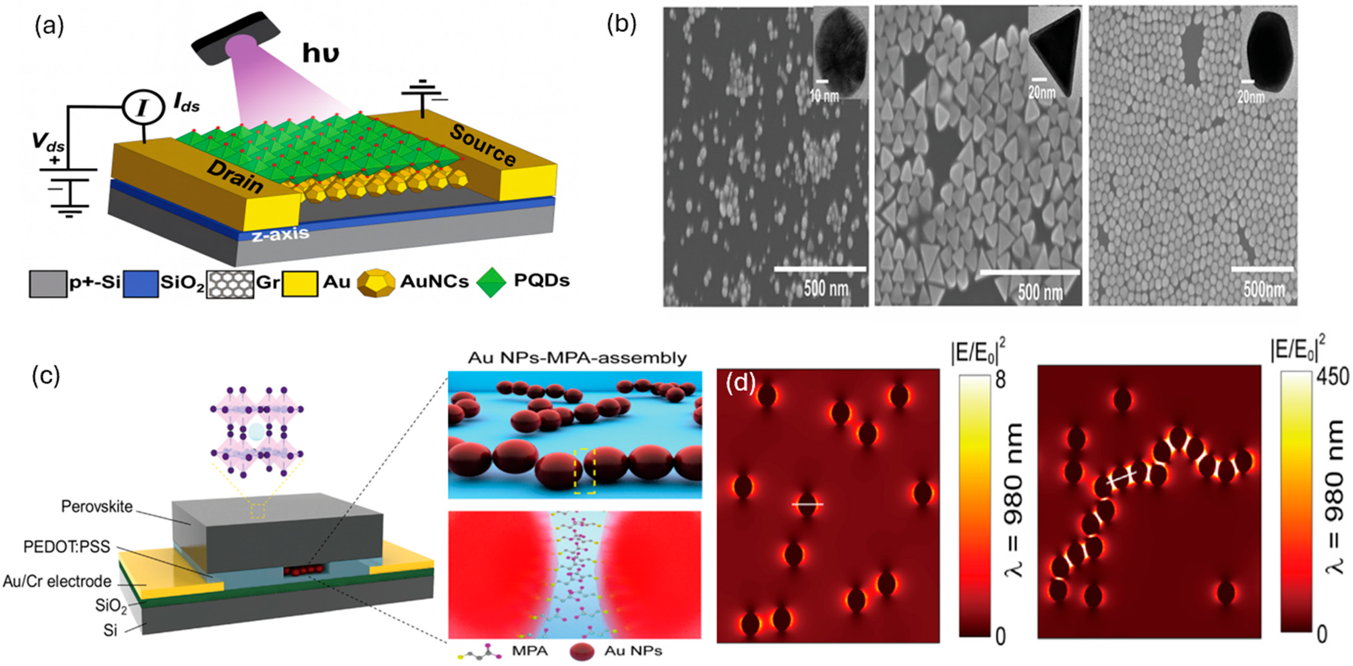 Inorganics 13 00351 g004 Inorganics 13 00351 g004
