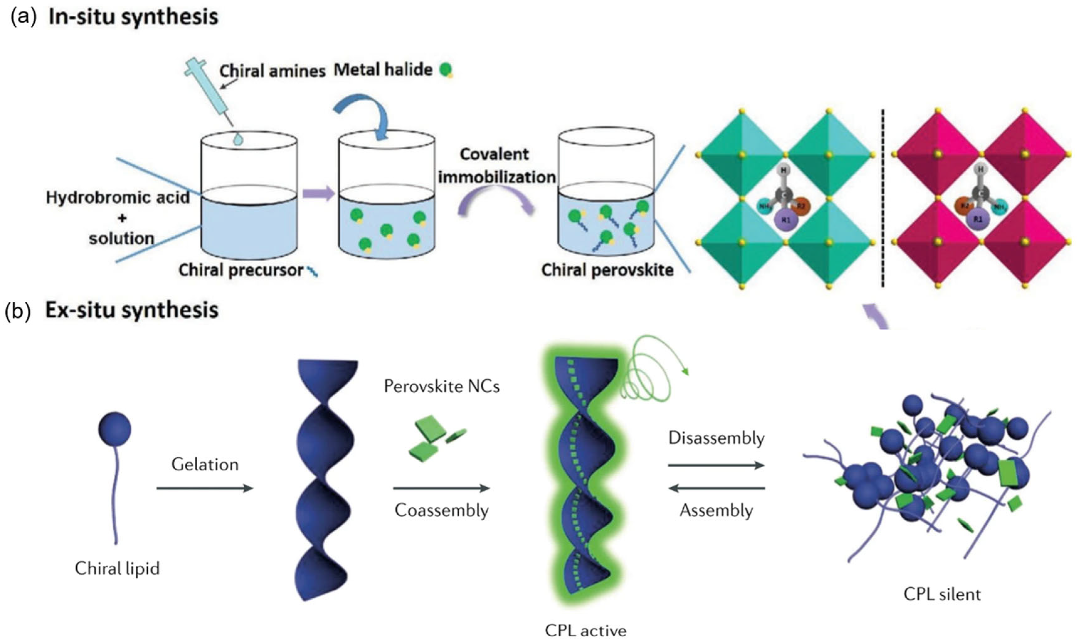 Inorganics 13 00352 g003