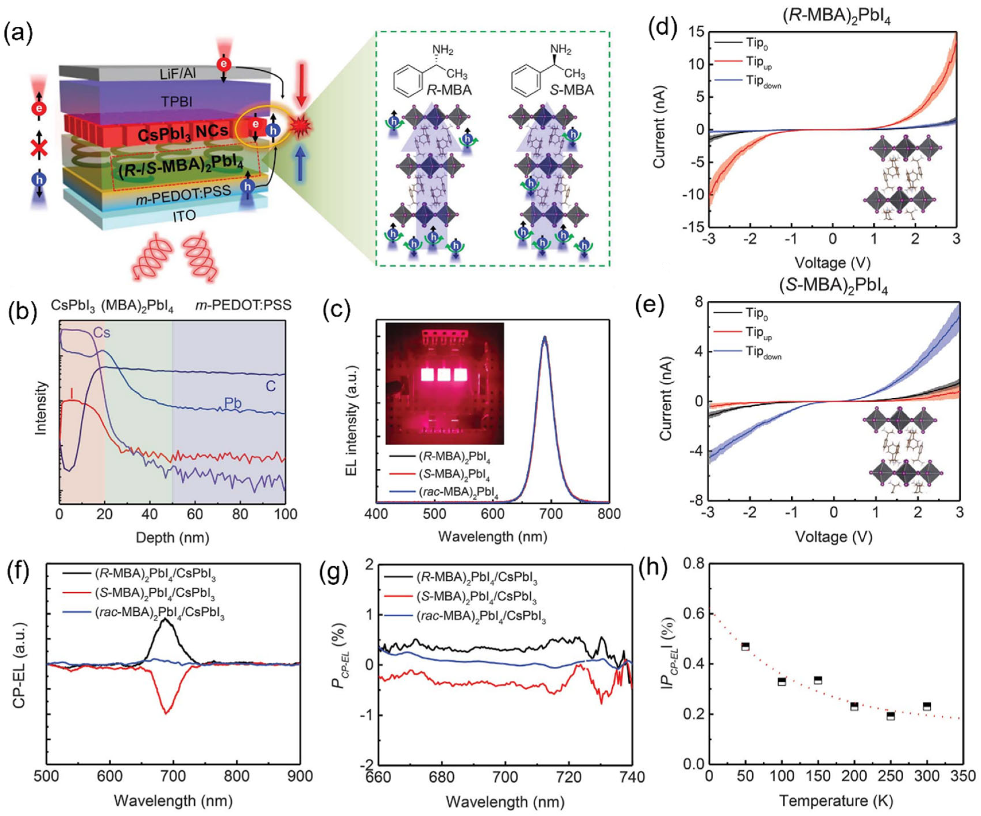 Inorganics 13 00352 g005