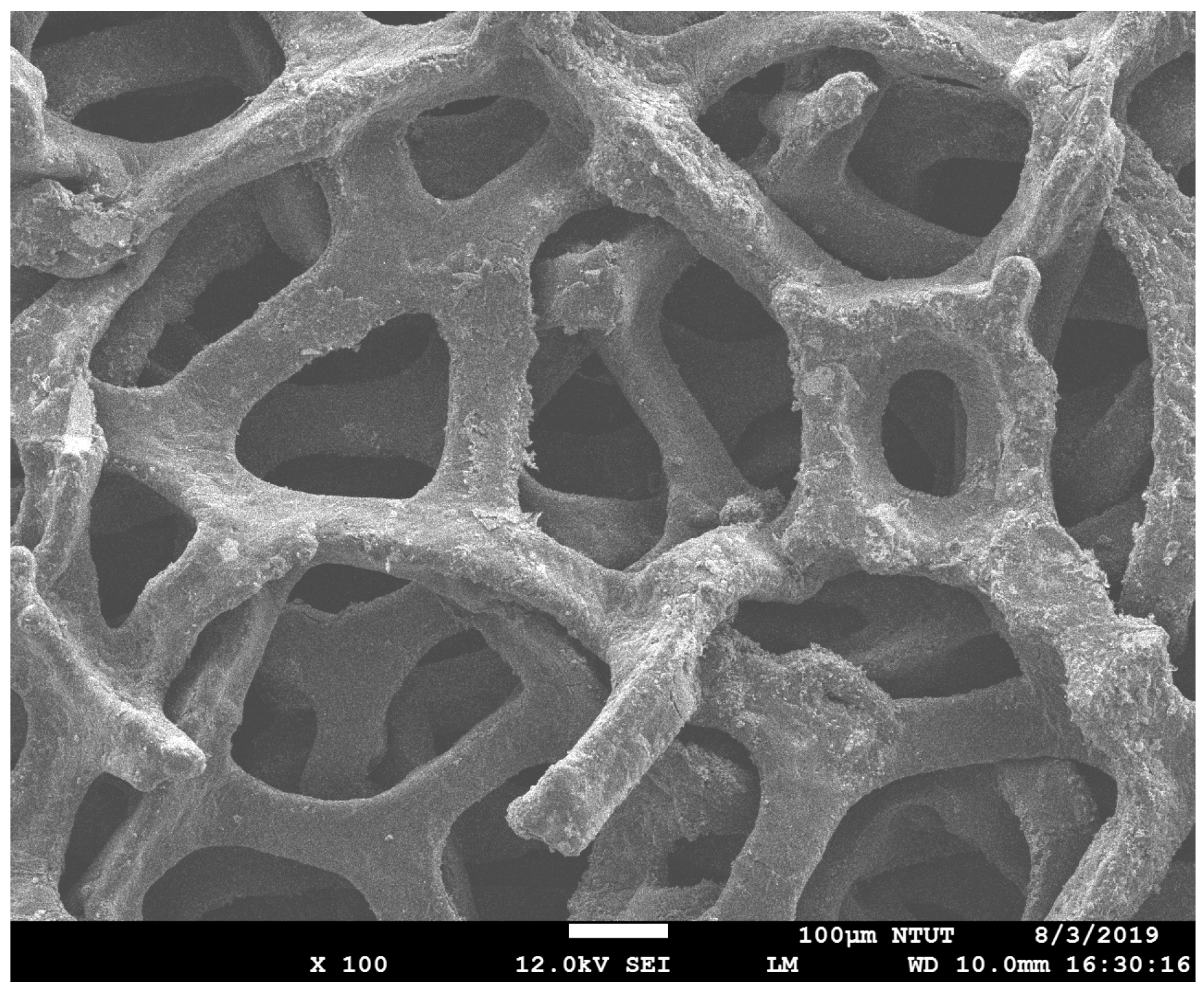 Inorganics 13 00355 g0a1 Inorganics 13 00355 g0a1