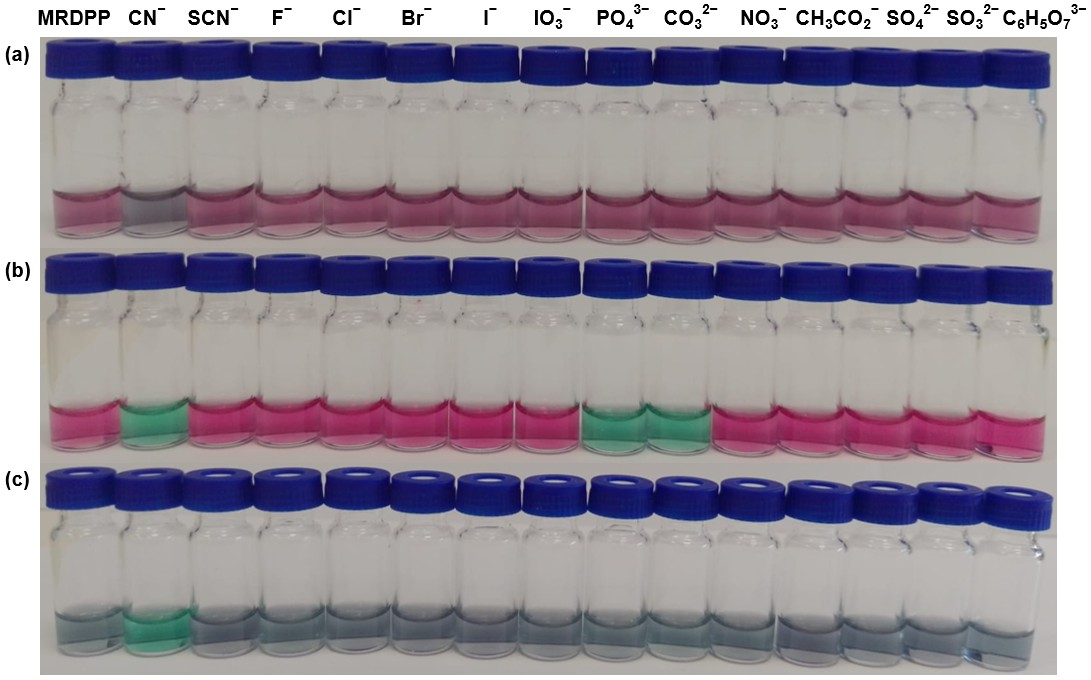 Inorganics 13 00357 g003 Inorganics 13 00357 g003