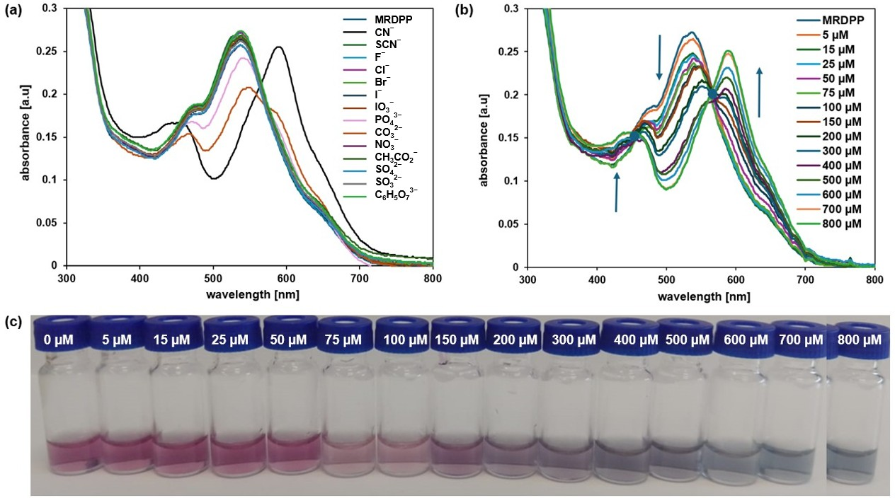 Inorganics 13 00357 g004 Inorganics 13 00357 g004