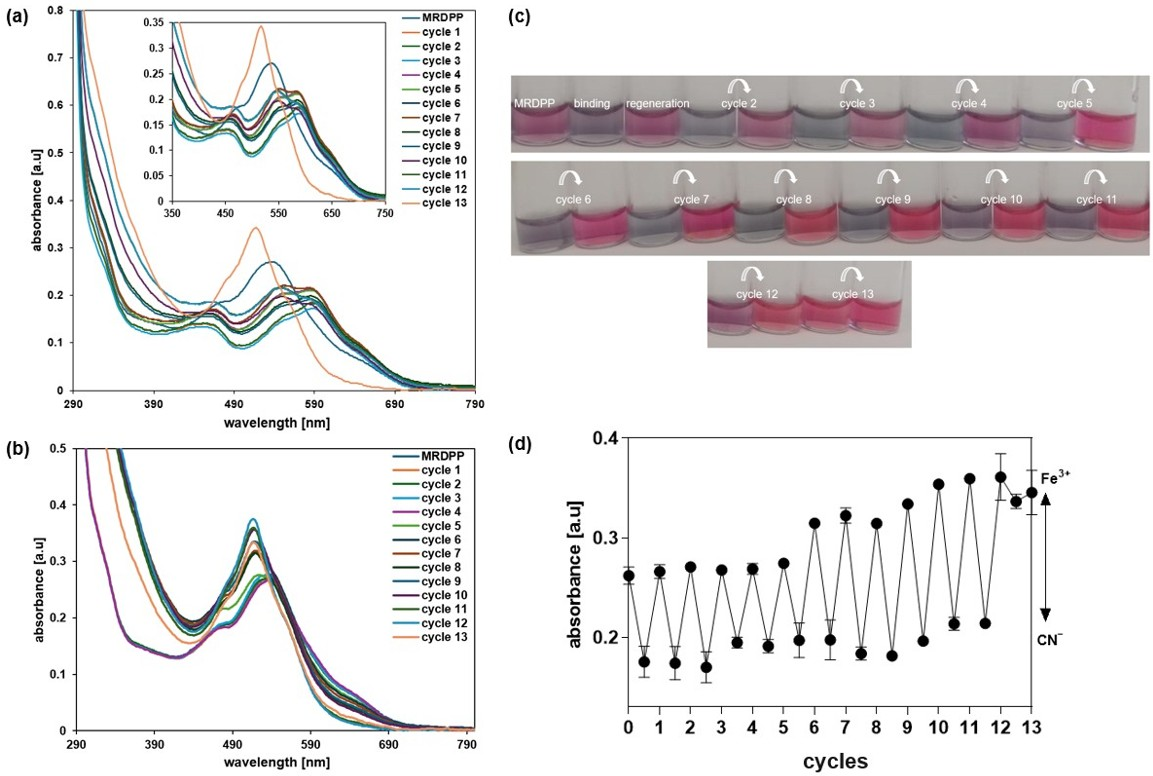 Inorganics 13 00357 g007 Inorganics 13 00357 g007