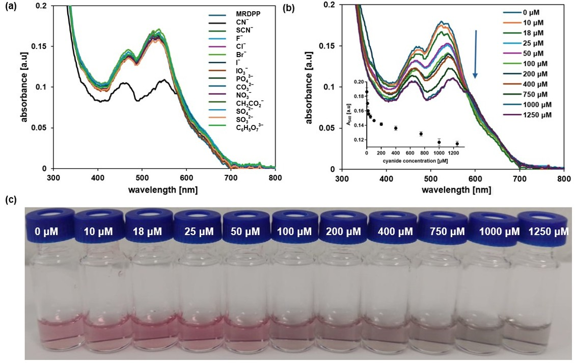 Inorganics 13 00357 g009 Inorganics 13 00357 g009