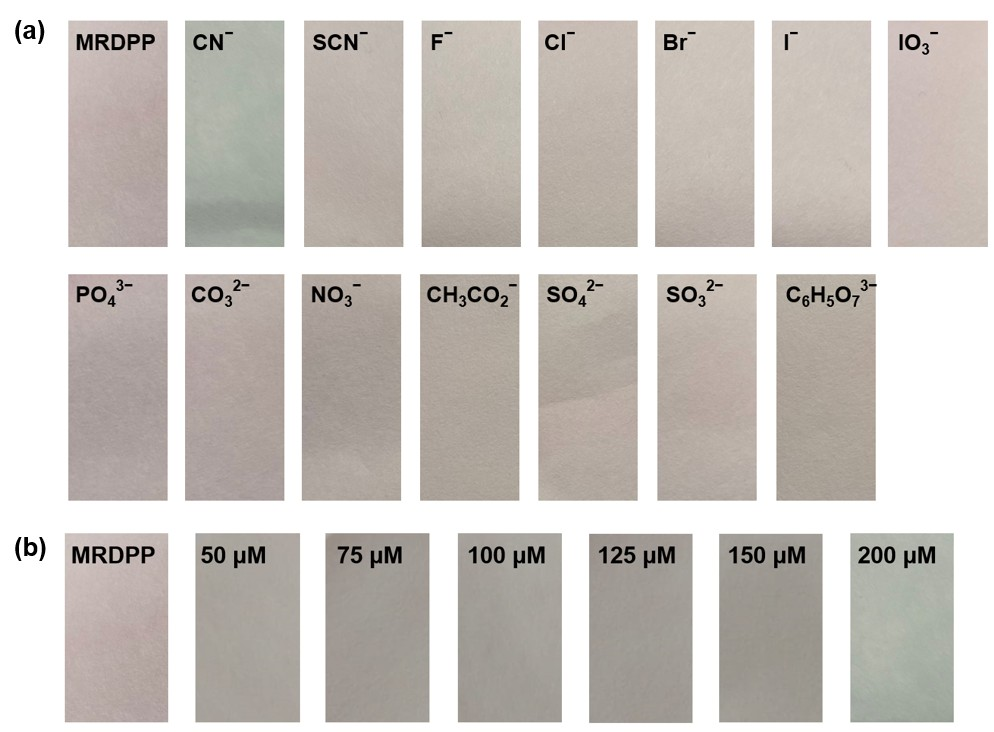 Inorganics 13 00357 g010 Inorganics 13 00357 g010