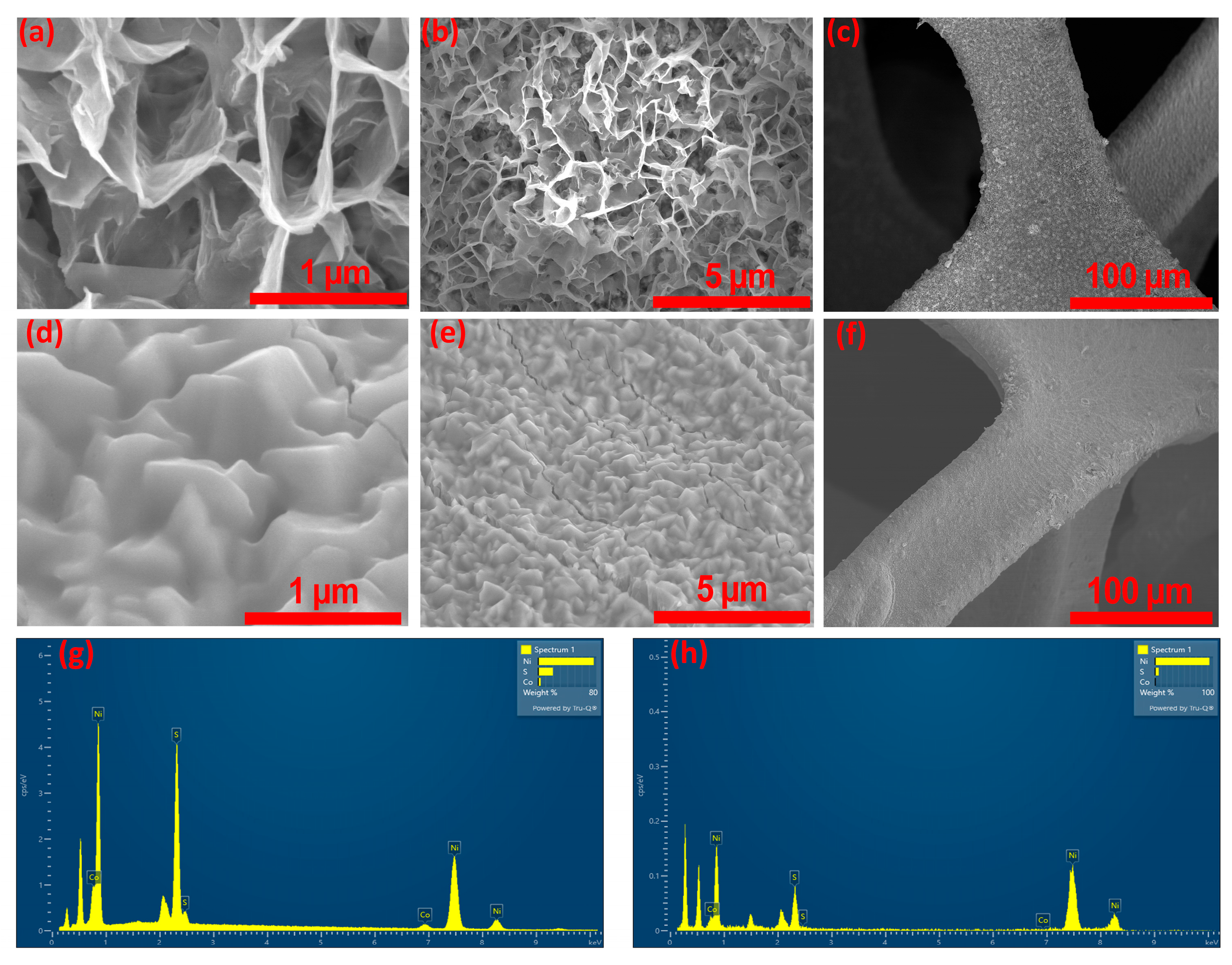 Inorganics 13 00359 g003