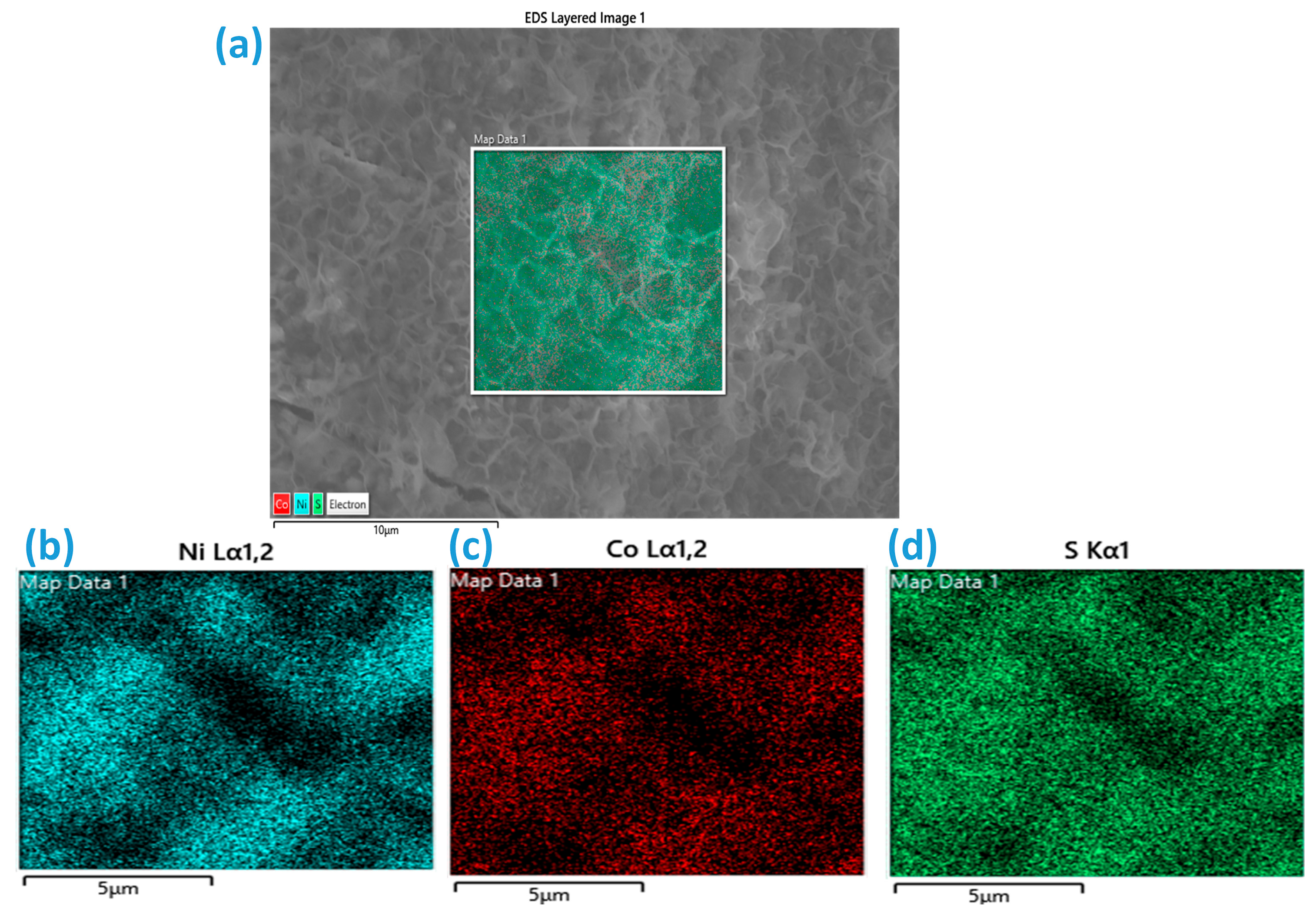 Inorganics 13 00359 g004