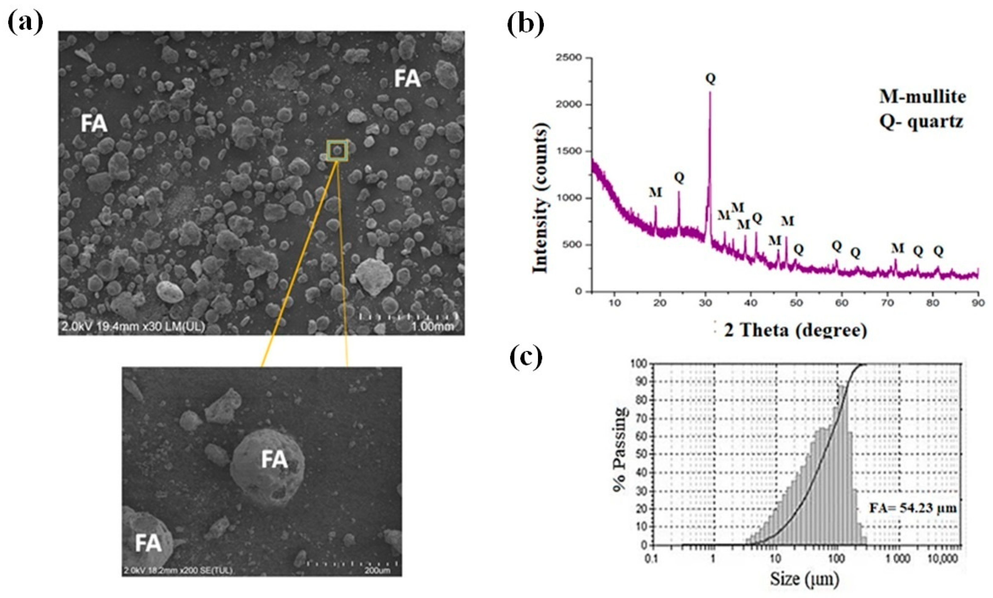 Inorganics 13 00367 g003