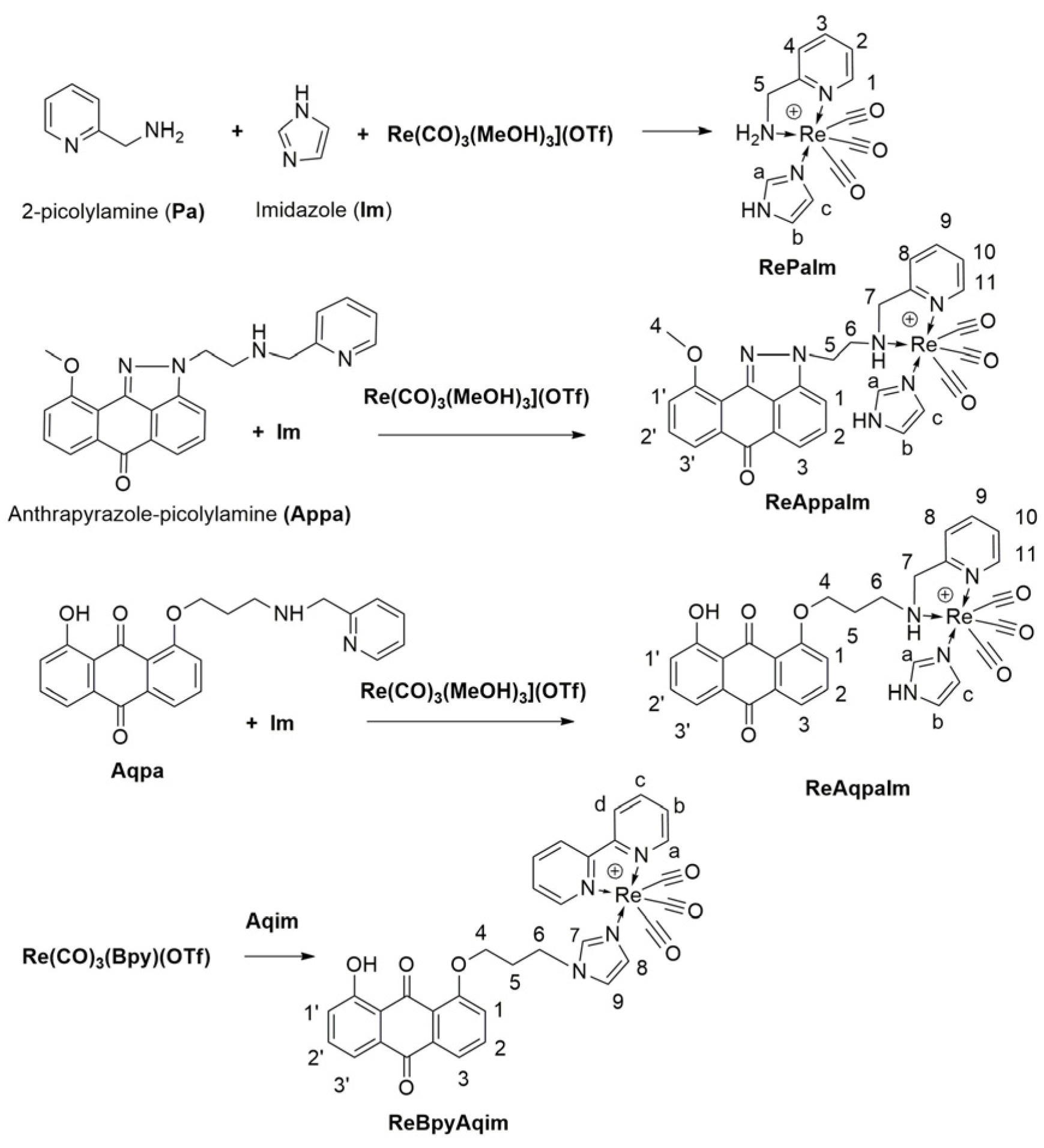 Inorganics 13 00368 sch002 Inorganics 13 00368 sch002