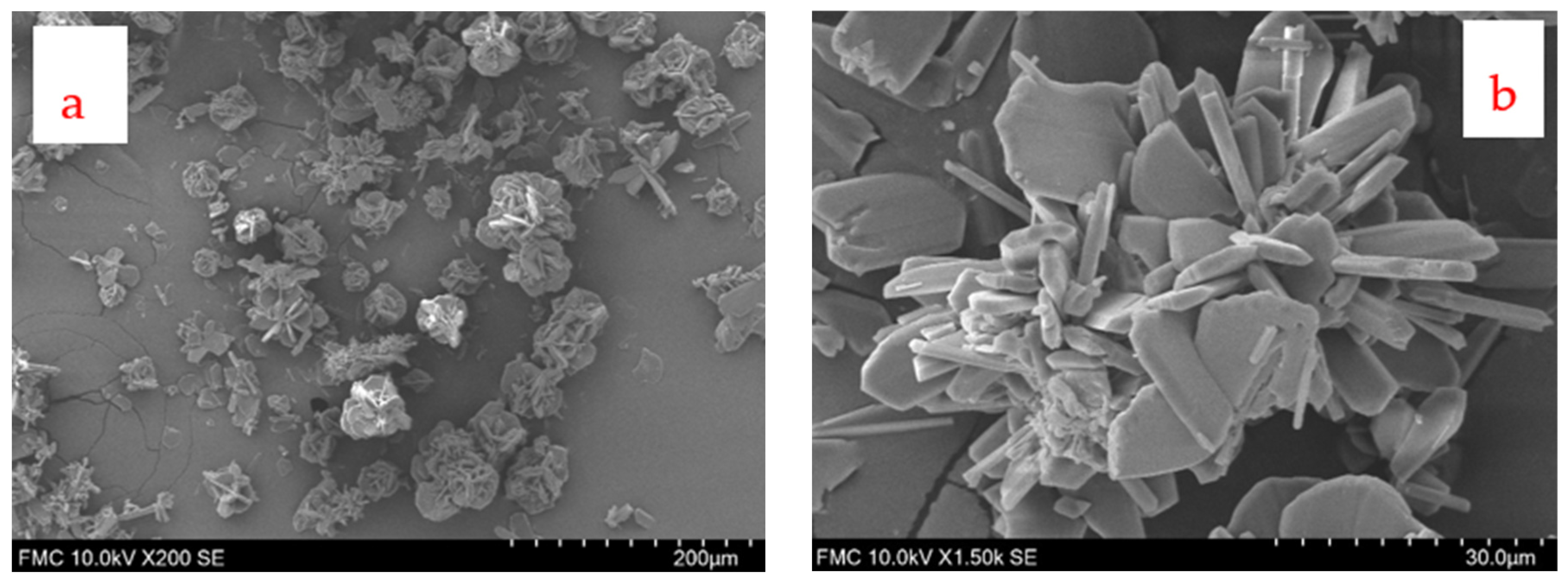 Inorganics 13 00377 g014a