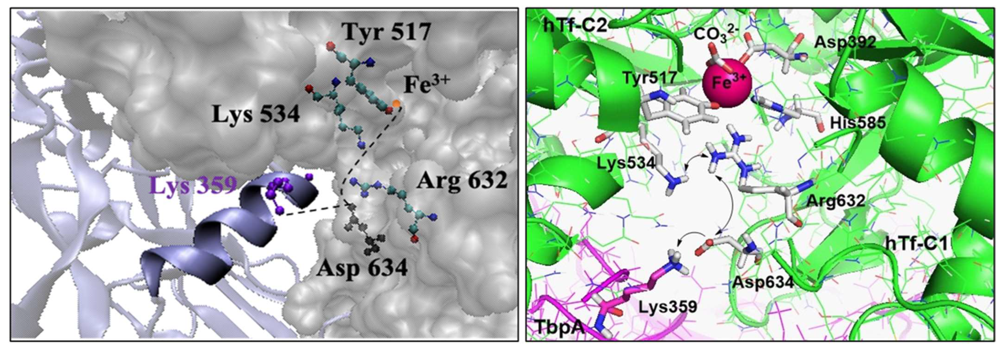 Inorganics 13 00384 g002 Inorganics 13 00384 g002