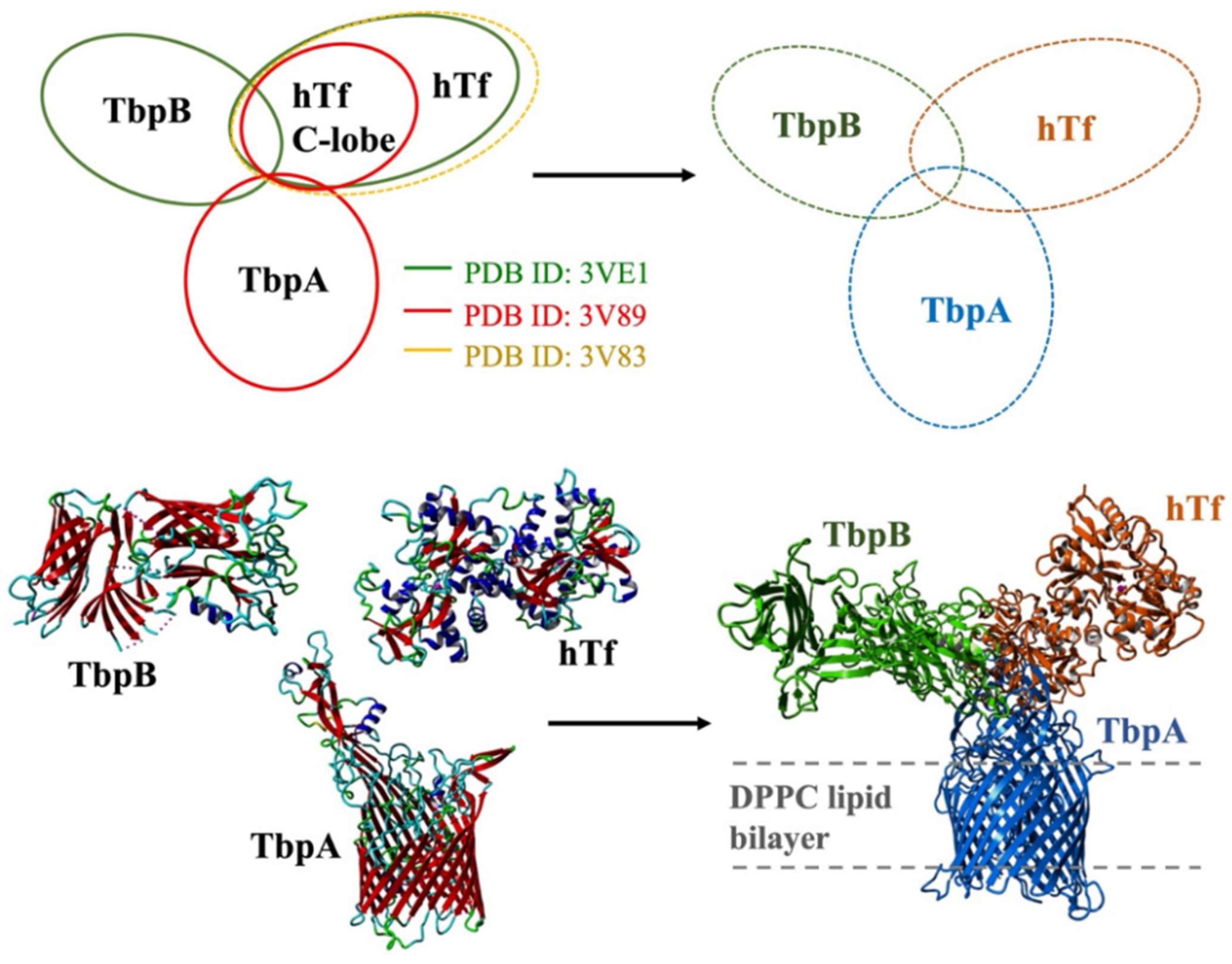 Inorganics 13 00384 g003 Inorganics 13 00384 g003