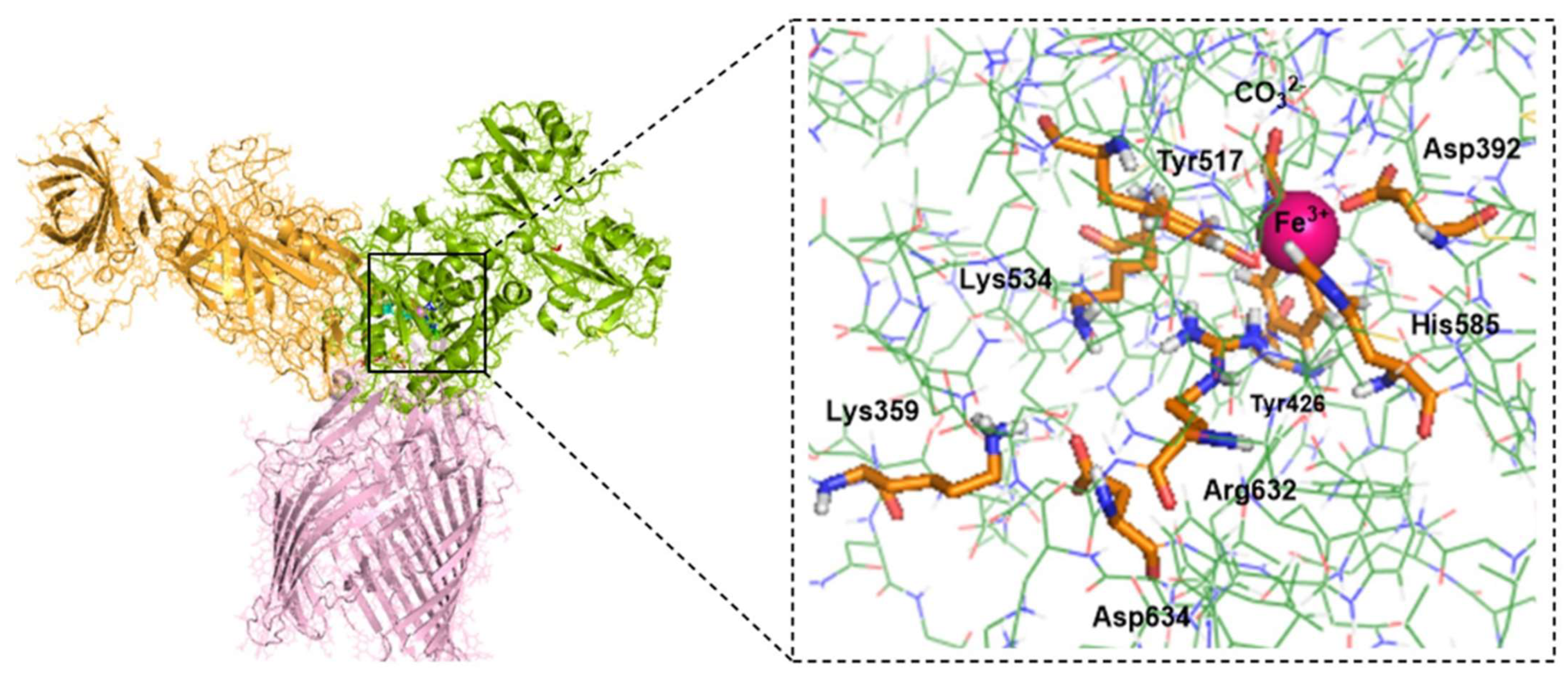 Inorganics 13 00384 g004 Inorganics 13 00384 g004