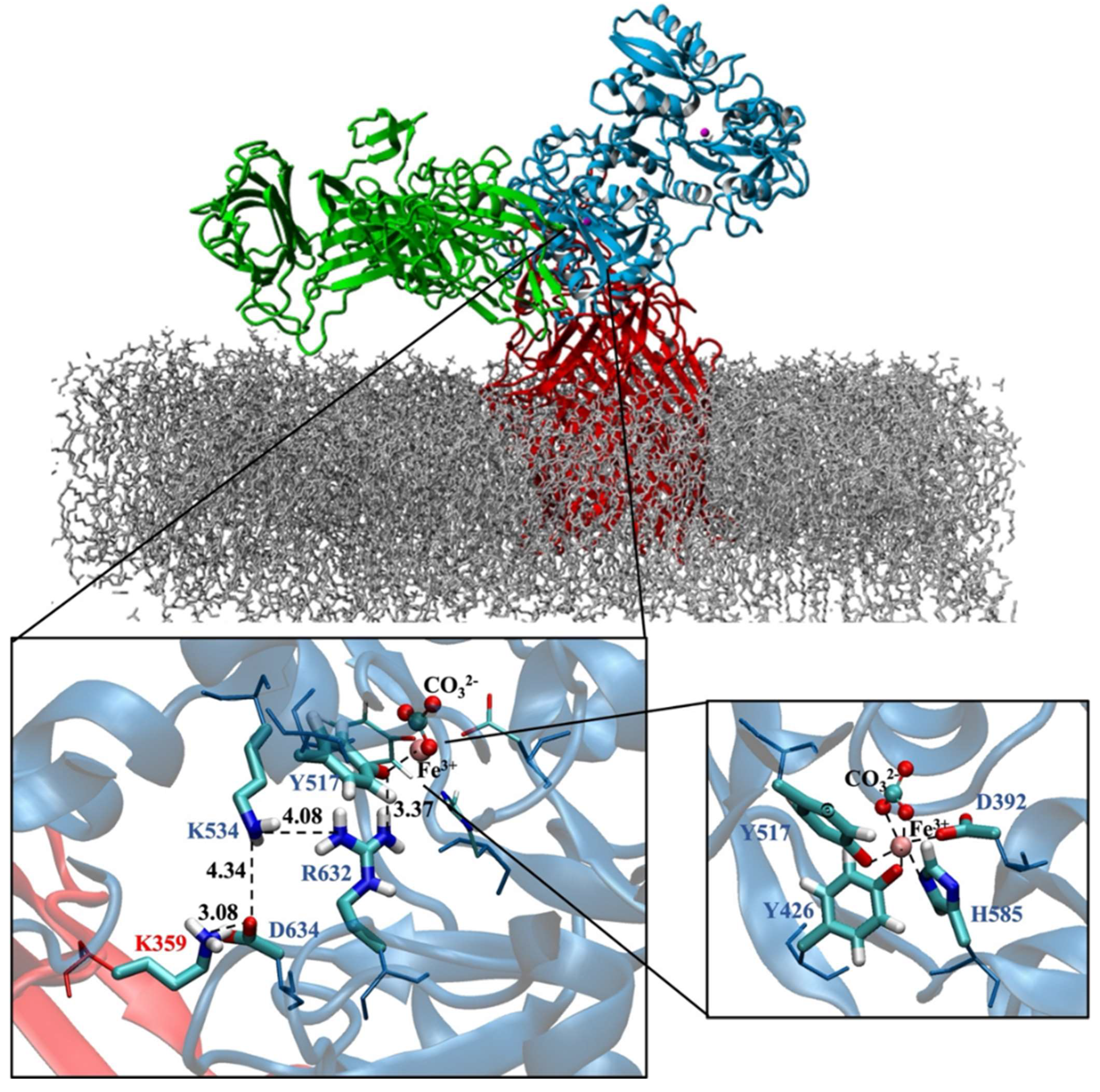 Inorganics 13 00384 g008 Inorganics 13 00384 g008