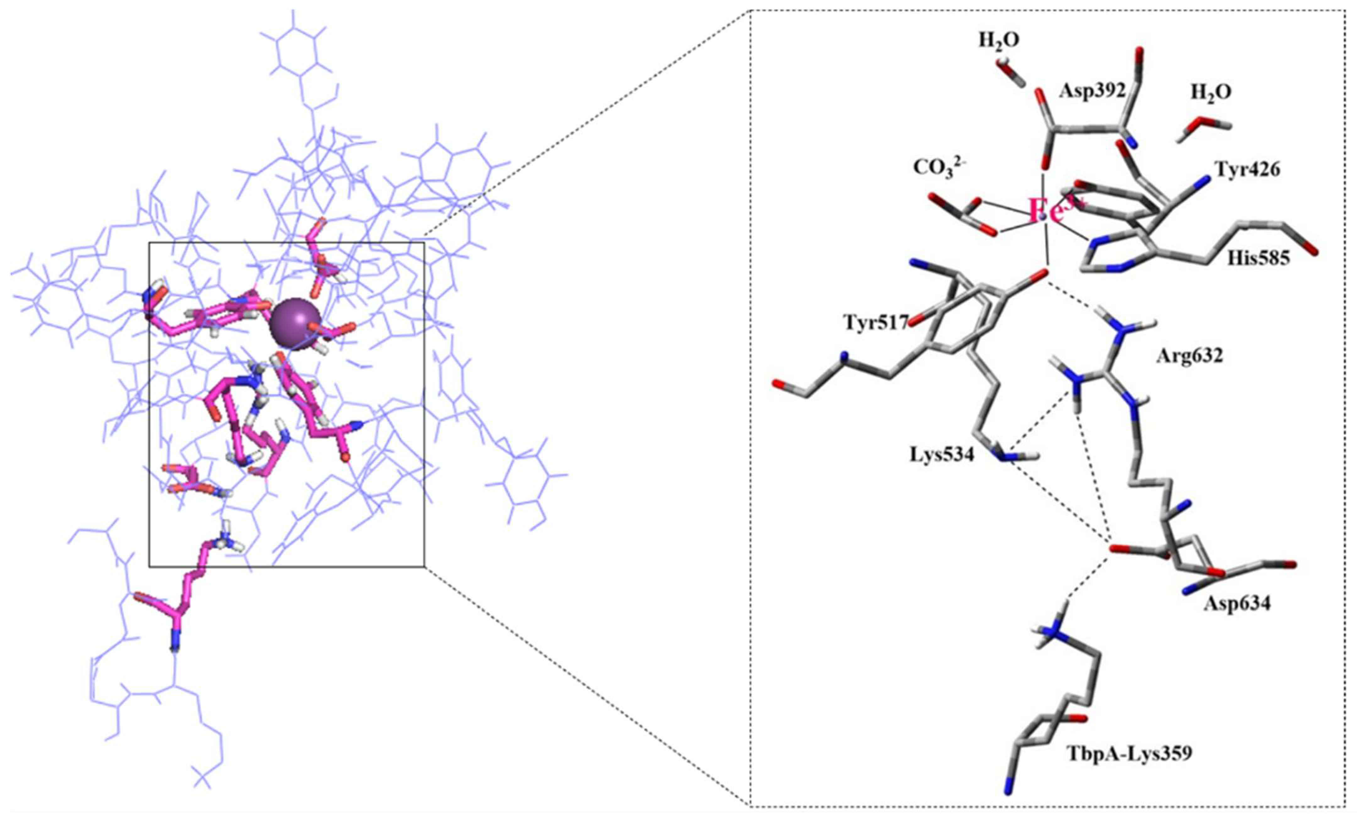 Inorganics 13 00384 g009 Inorganics 13 00384 g009