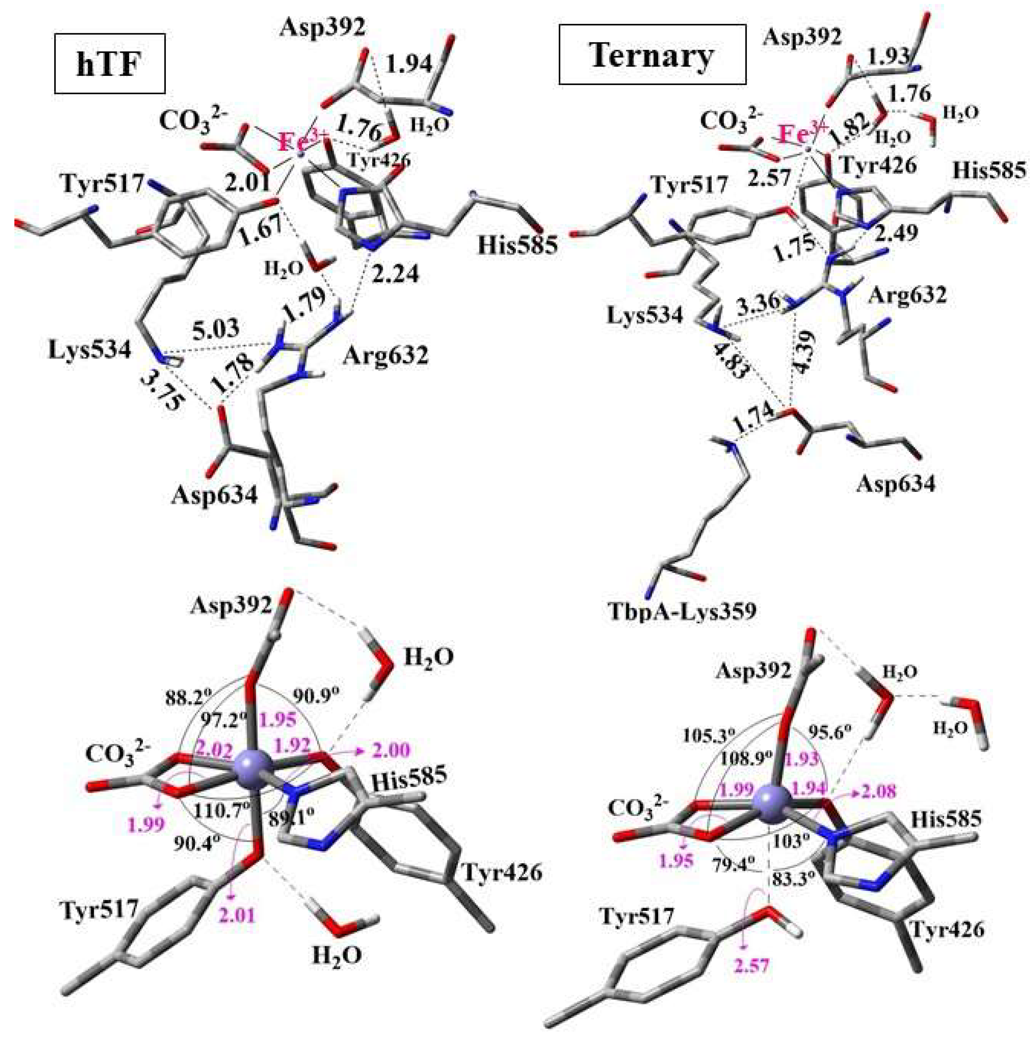Inorganics 13 00384 g010 Inorganics 13 00384 g010