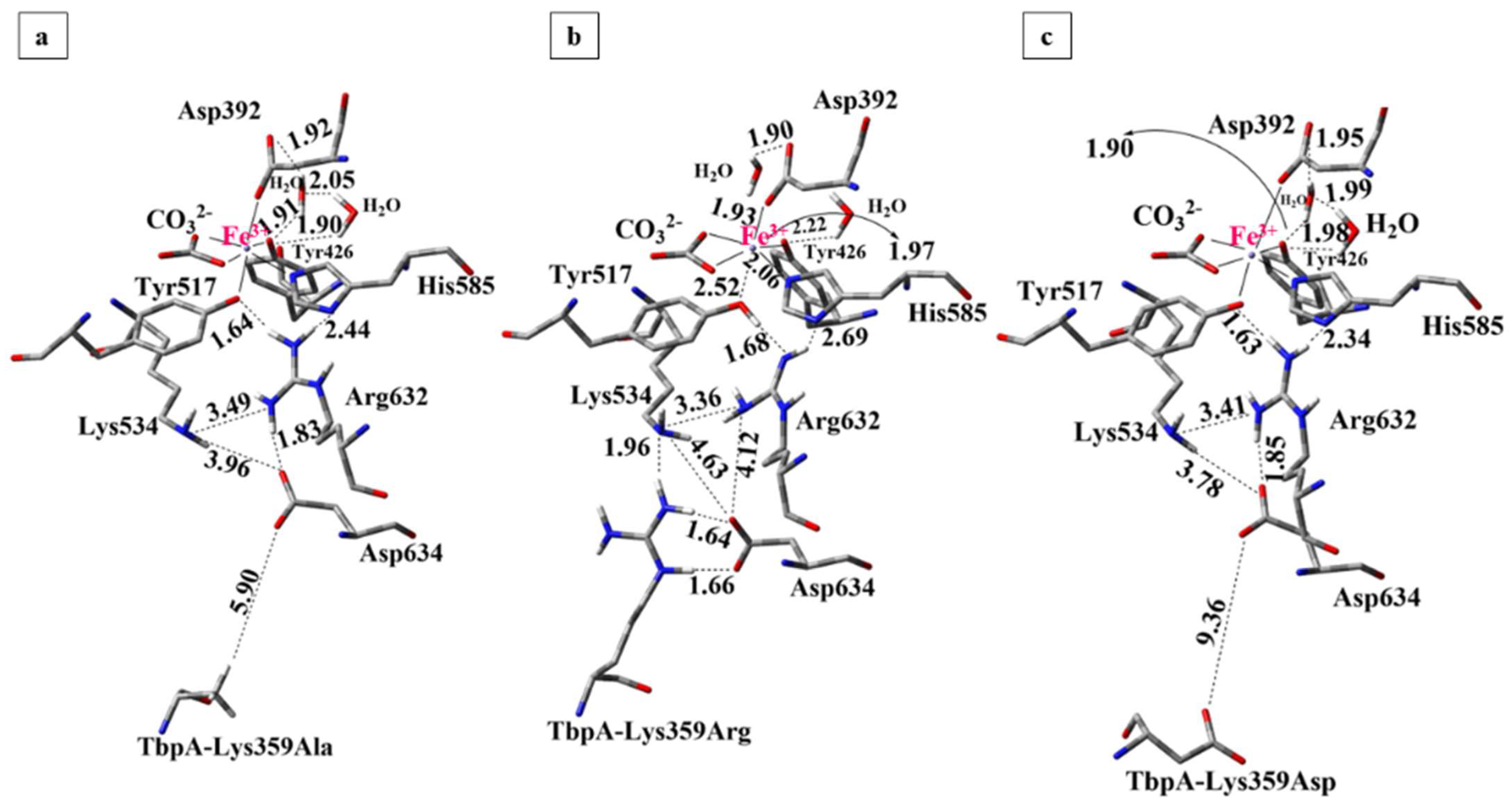 Inorganics 13 00384 g011 Inorganics 13 00384 g011