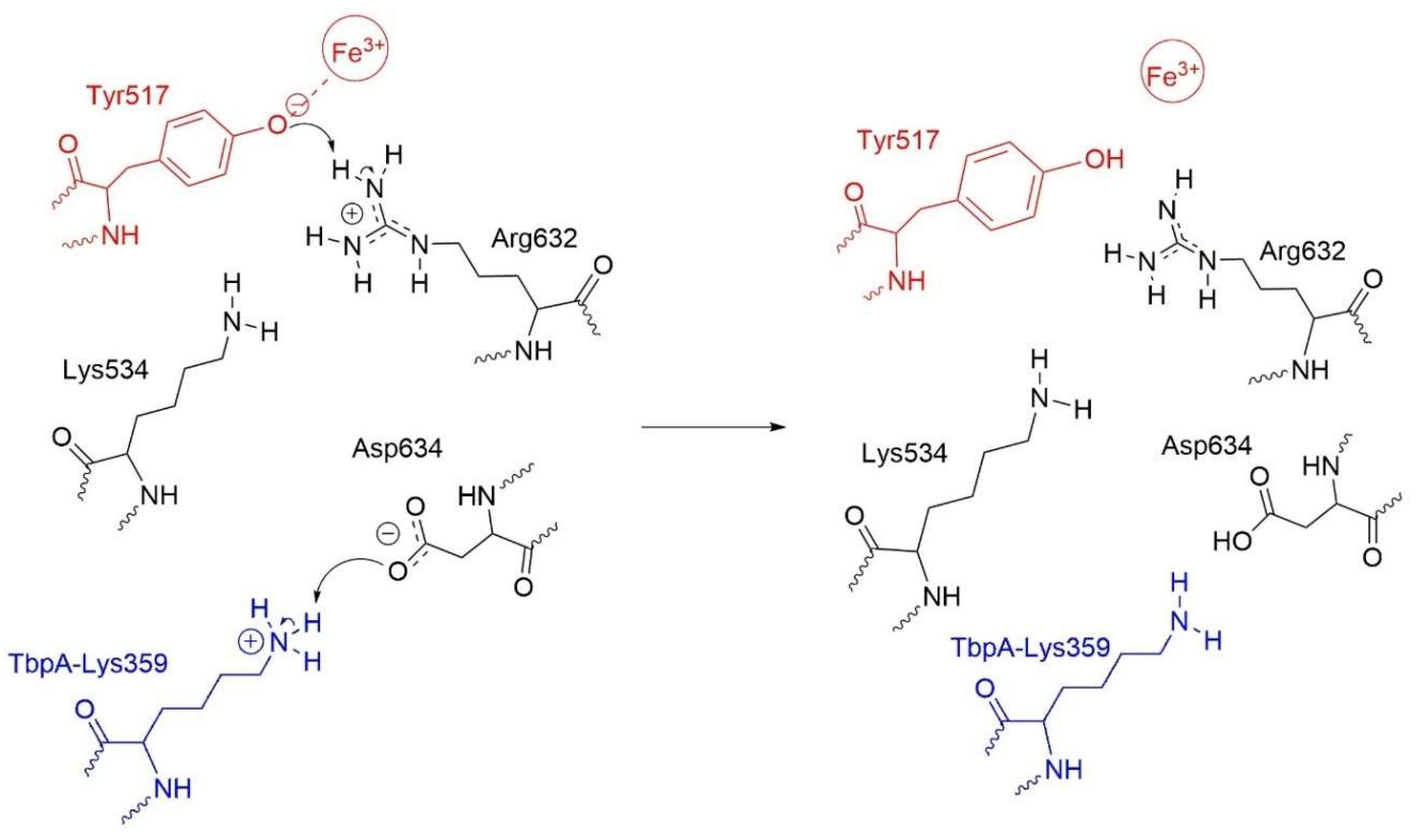 Inorganics 13 00384 sch001 Inorganics 13 00384 sch001