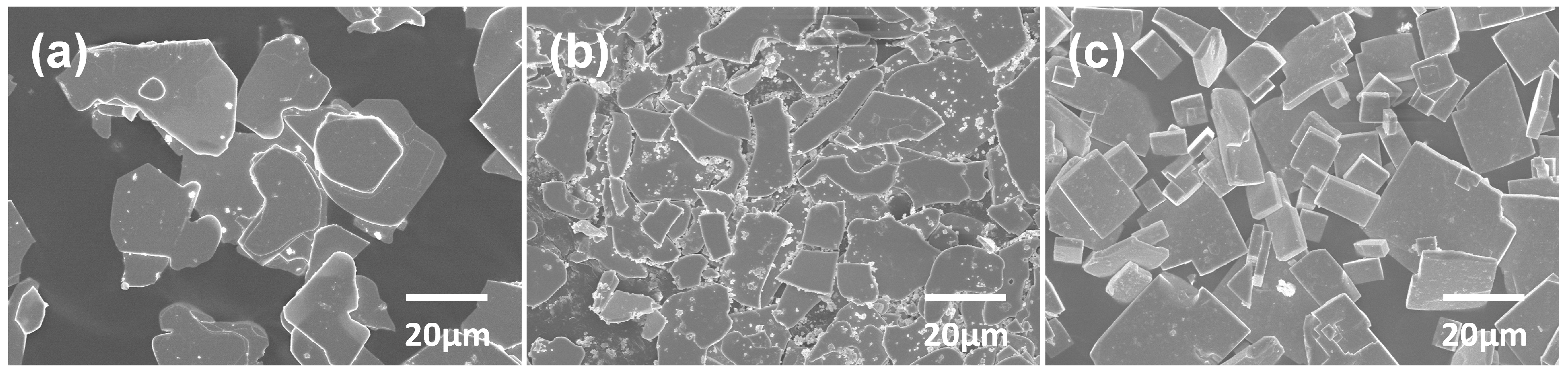 Inorganics 13 00387 g002