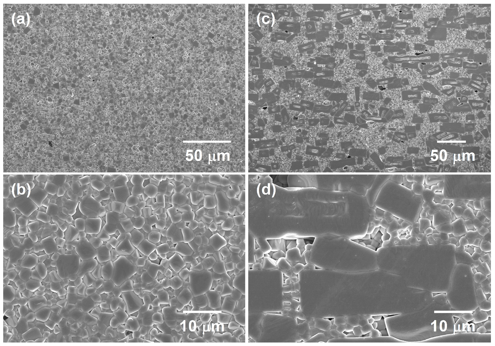 Inorganics 13 00387 g009