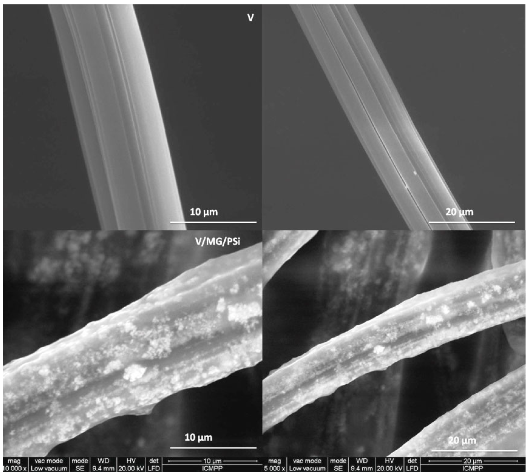 Inorganics 13 00388 g002