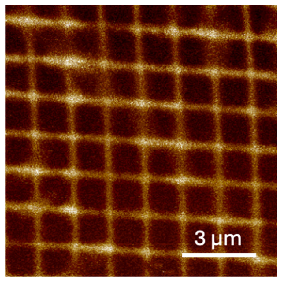 Inorganics 14 00021 g005 Inorganics 14 00021 g005