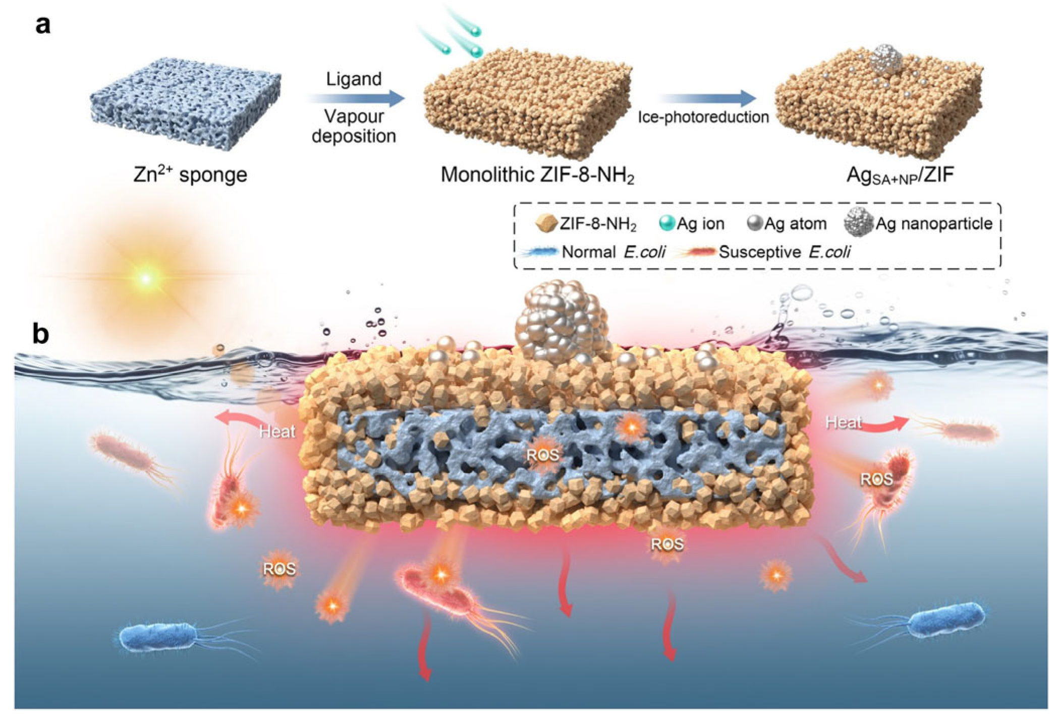Inorganics 14 00043 g007 Inorganics 14 00043 g007