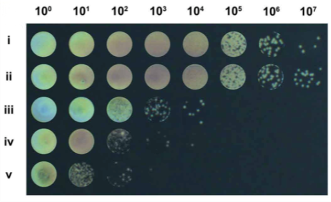 Inorganics 14 00043 g008 Inorganics 14 00043 g008