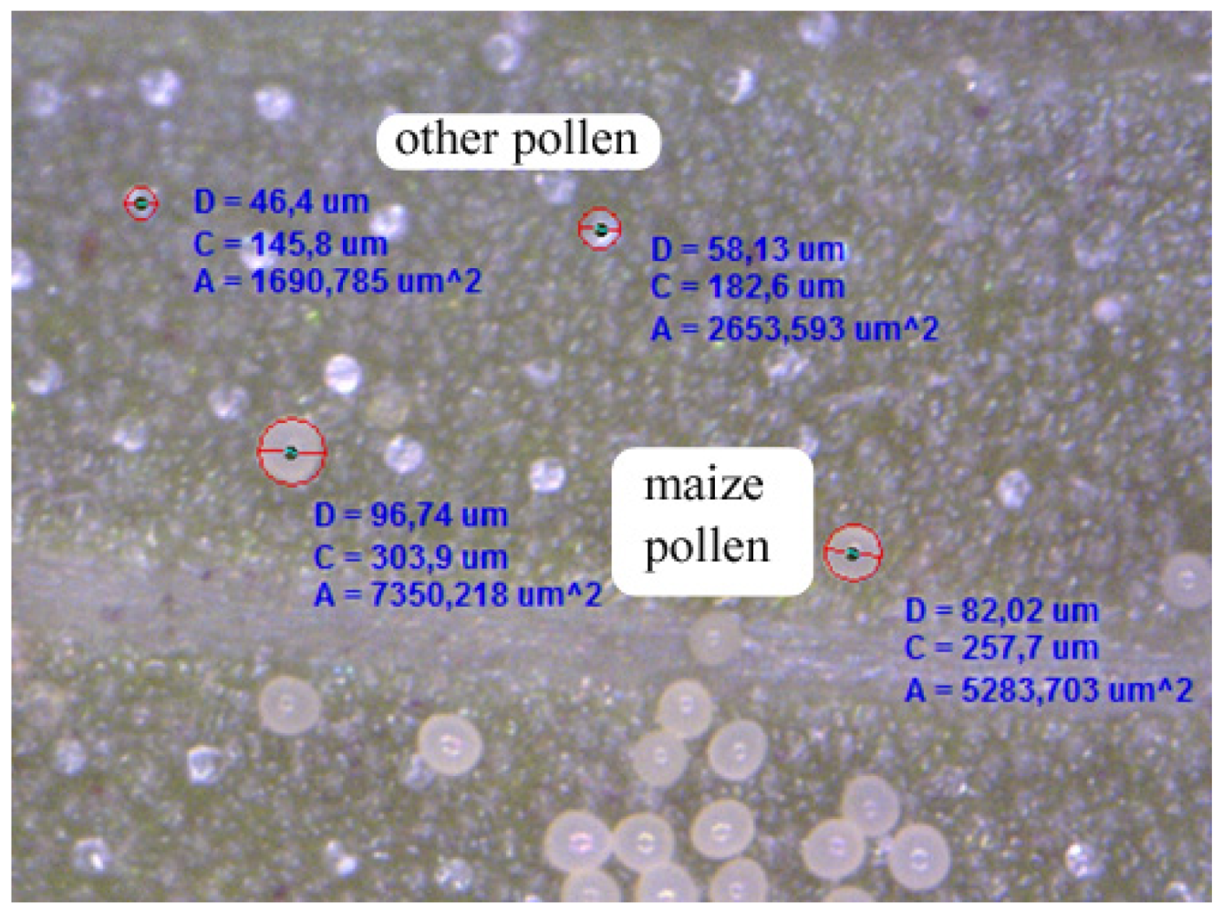 Insects 02 00012f2 1024