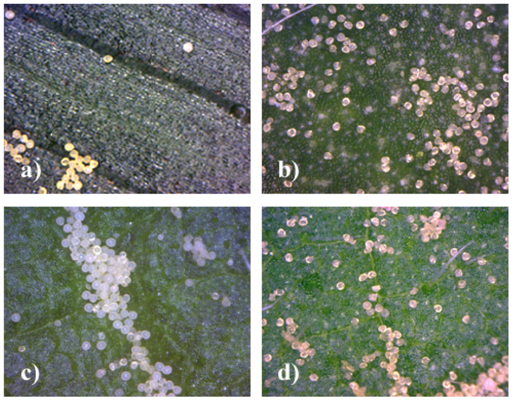 Insects 02 00012f3 1024