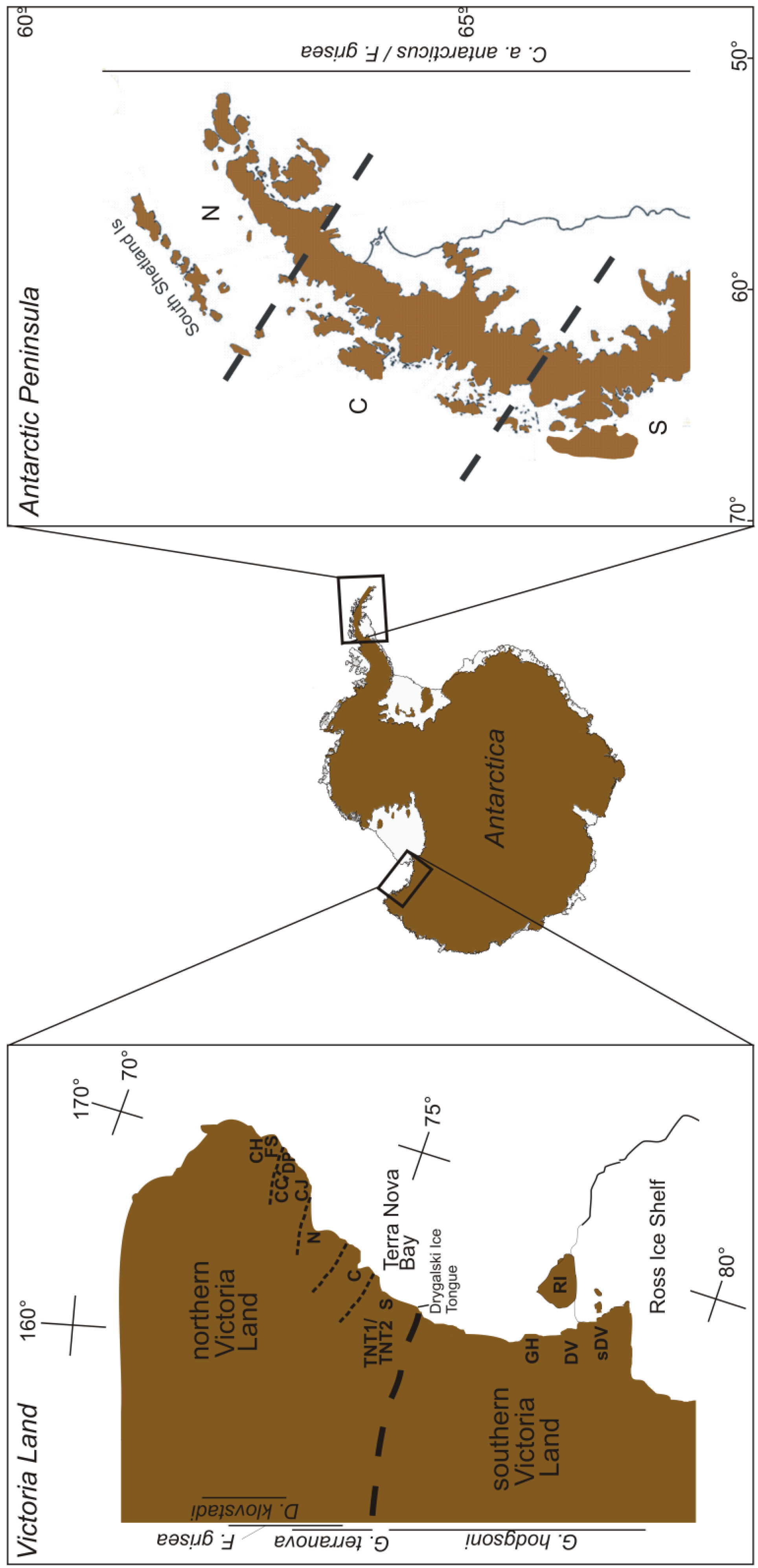 Insects 02 00062f2 1024