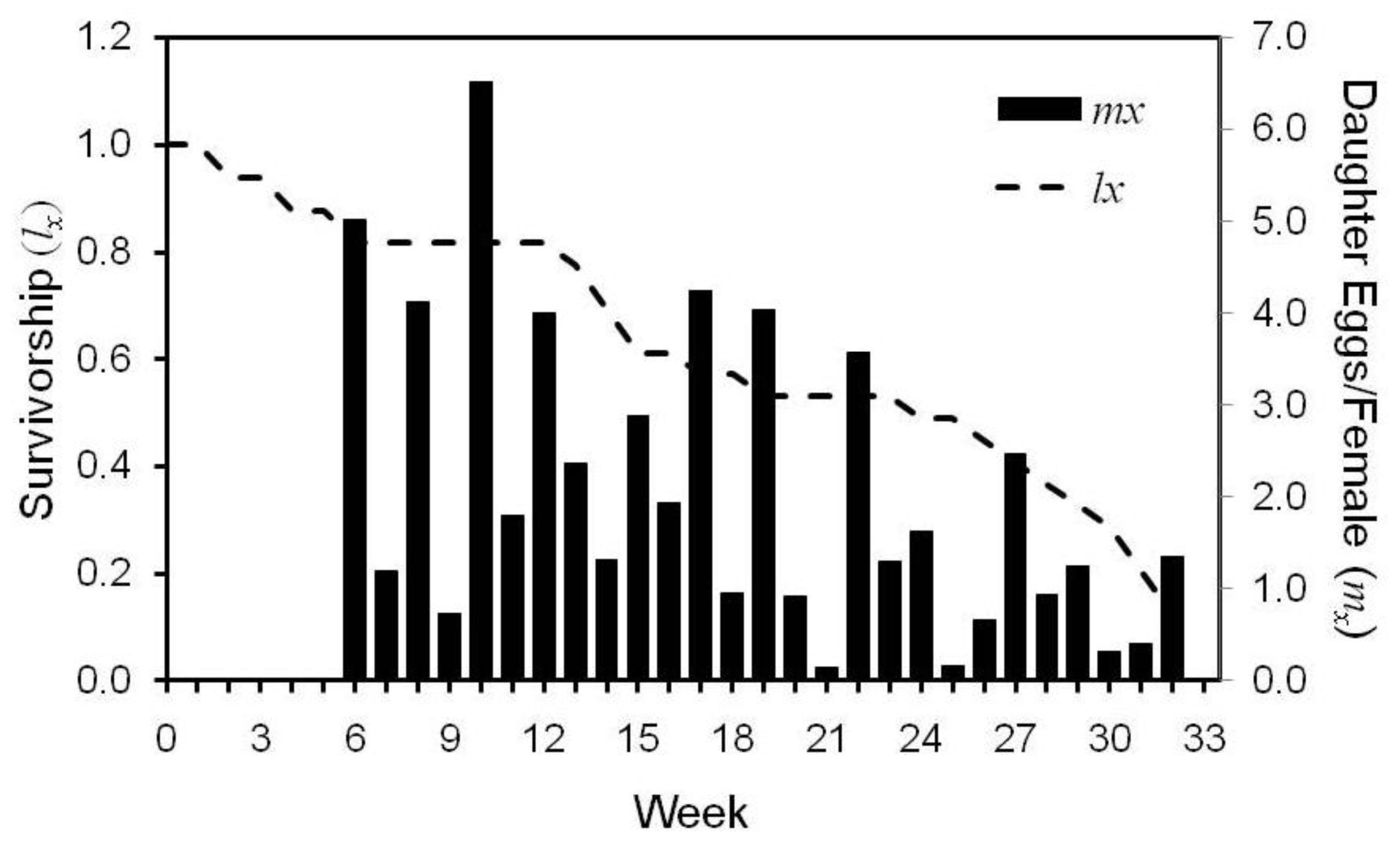 Insects Free FullText Population Growth Potential of the Bed Bug