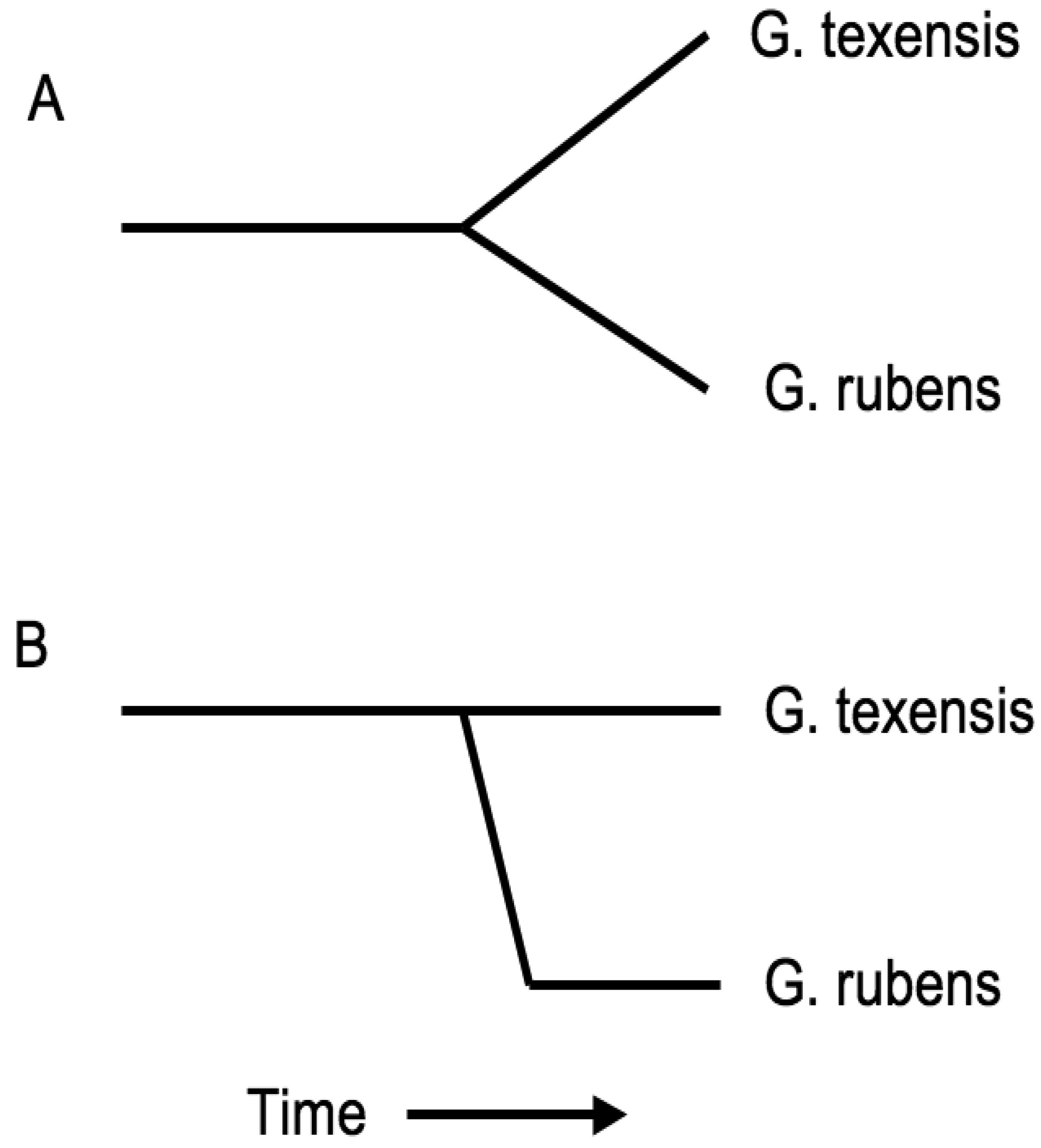 Insects 02 00195f7 1024