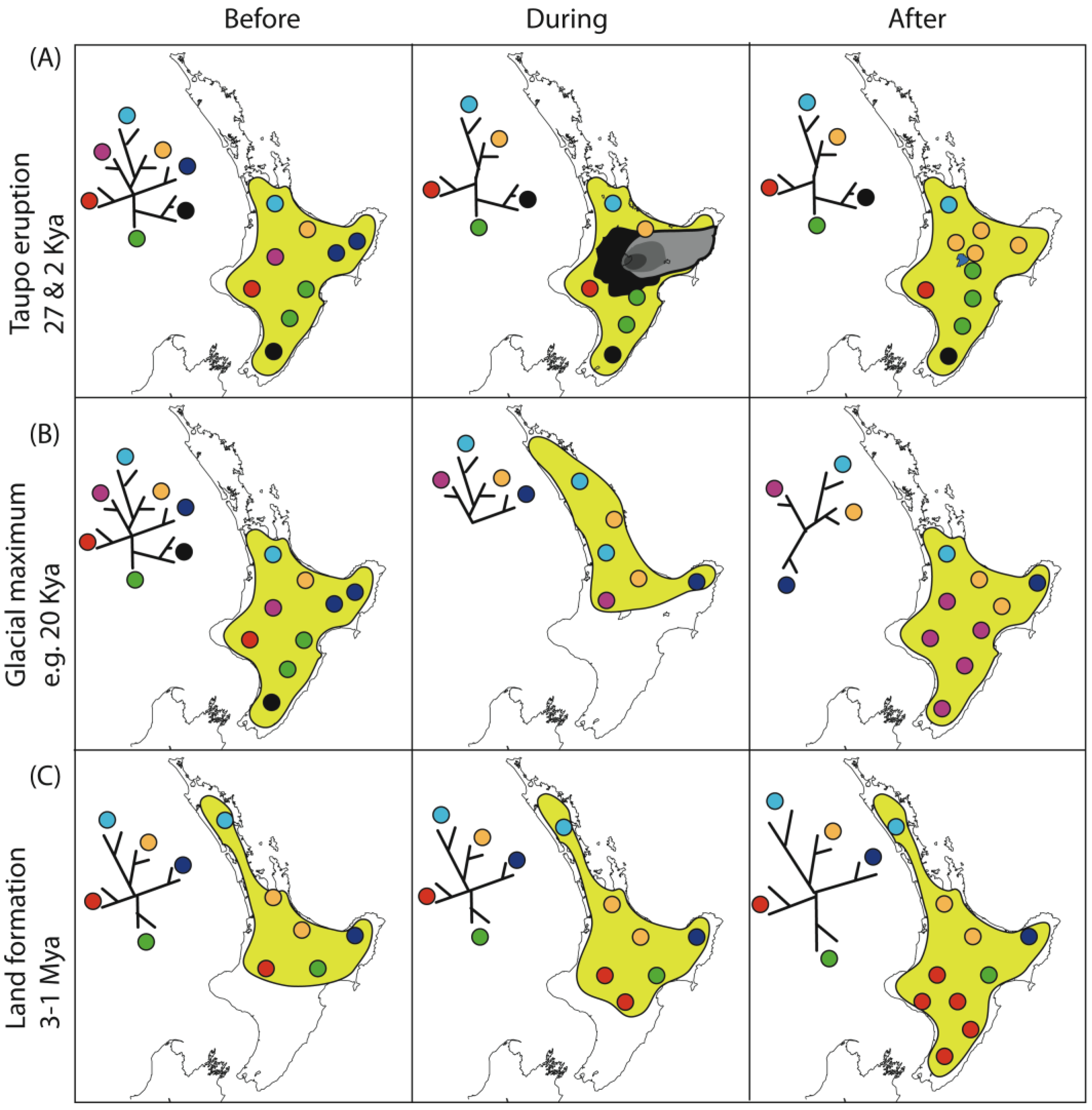 Insects 02 00297f3 1024
