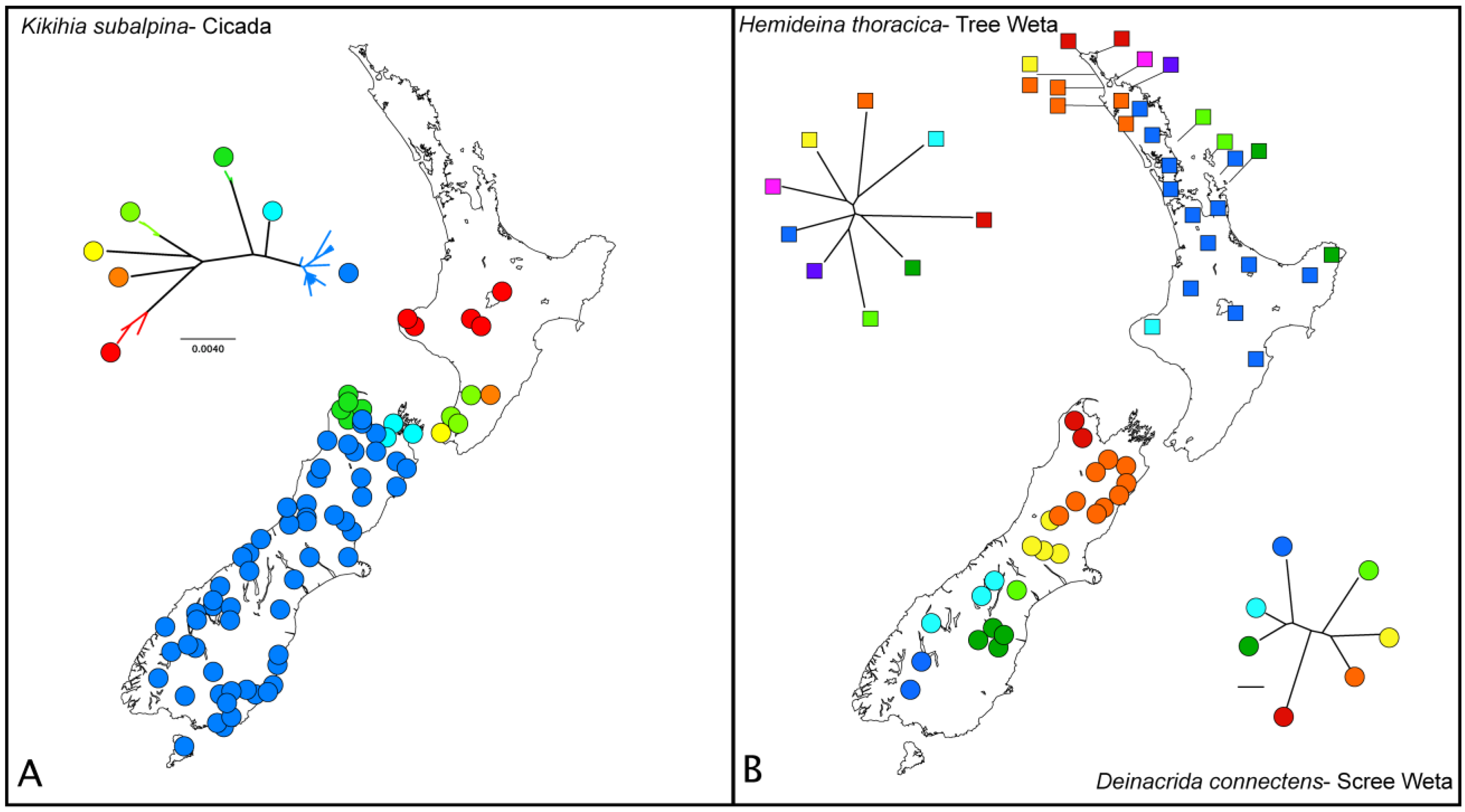 Insects 02 00297f7a 1024