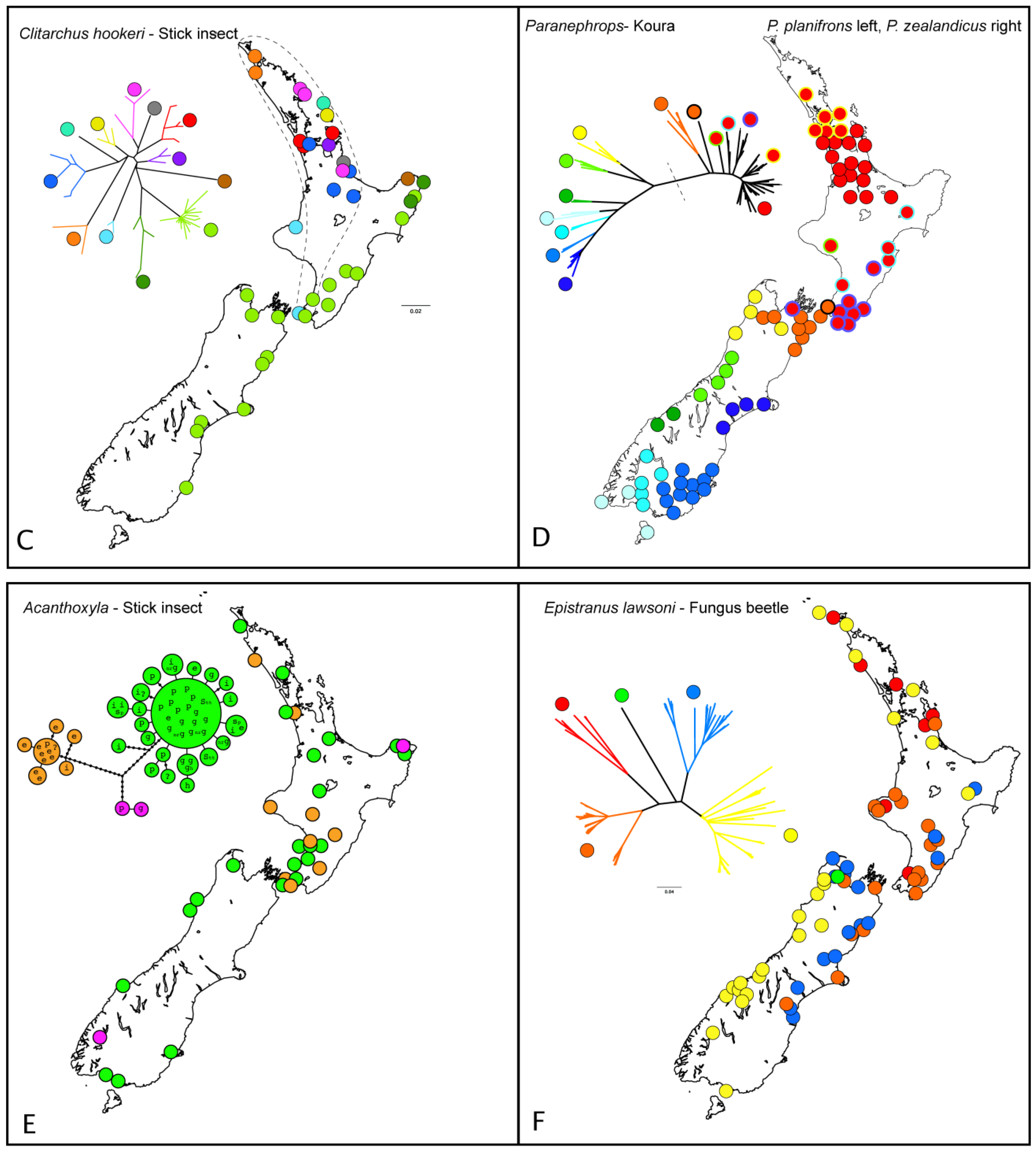Insects 02 00297f7b 1024