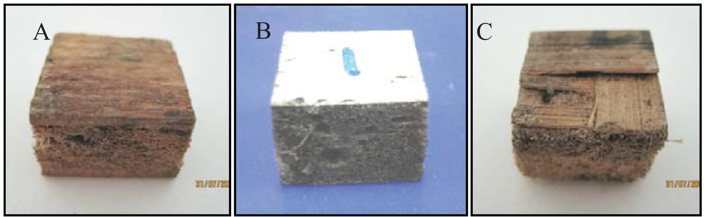 Insects 02 00462f3 1024