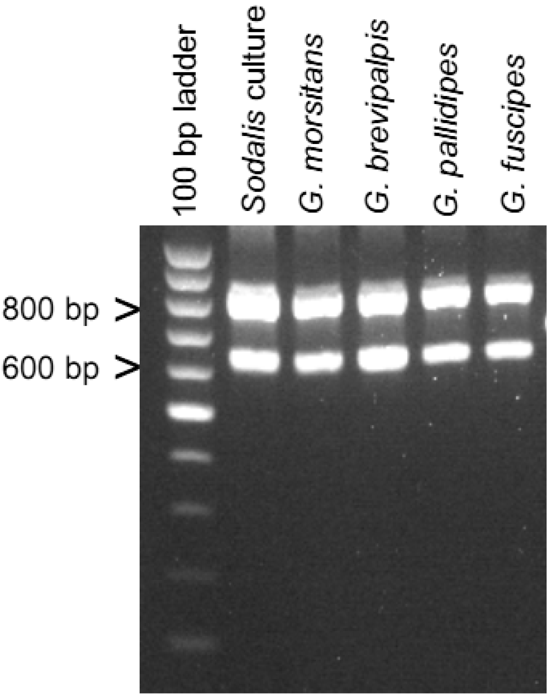 Insects 02 00515f5 1024