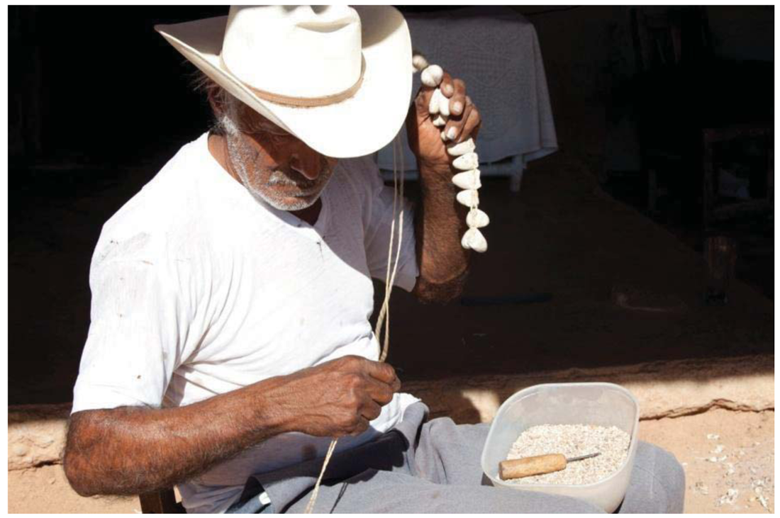 Insects 02 00564f12 1024