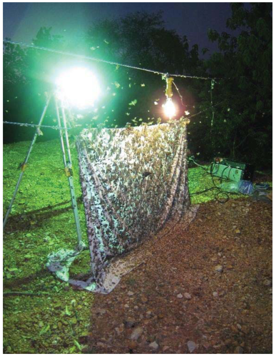 Insects 02 00564f2 1024