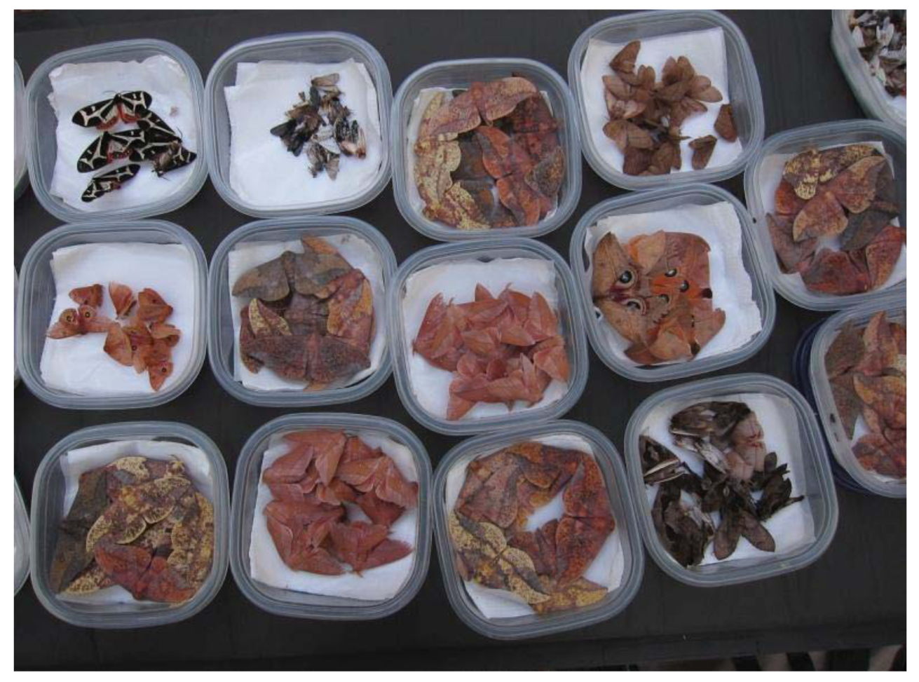 Insects 02 00564f3 1024